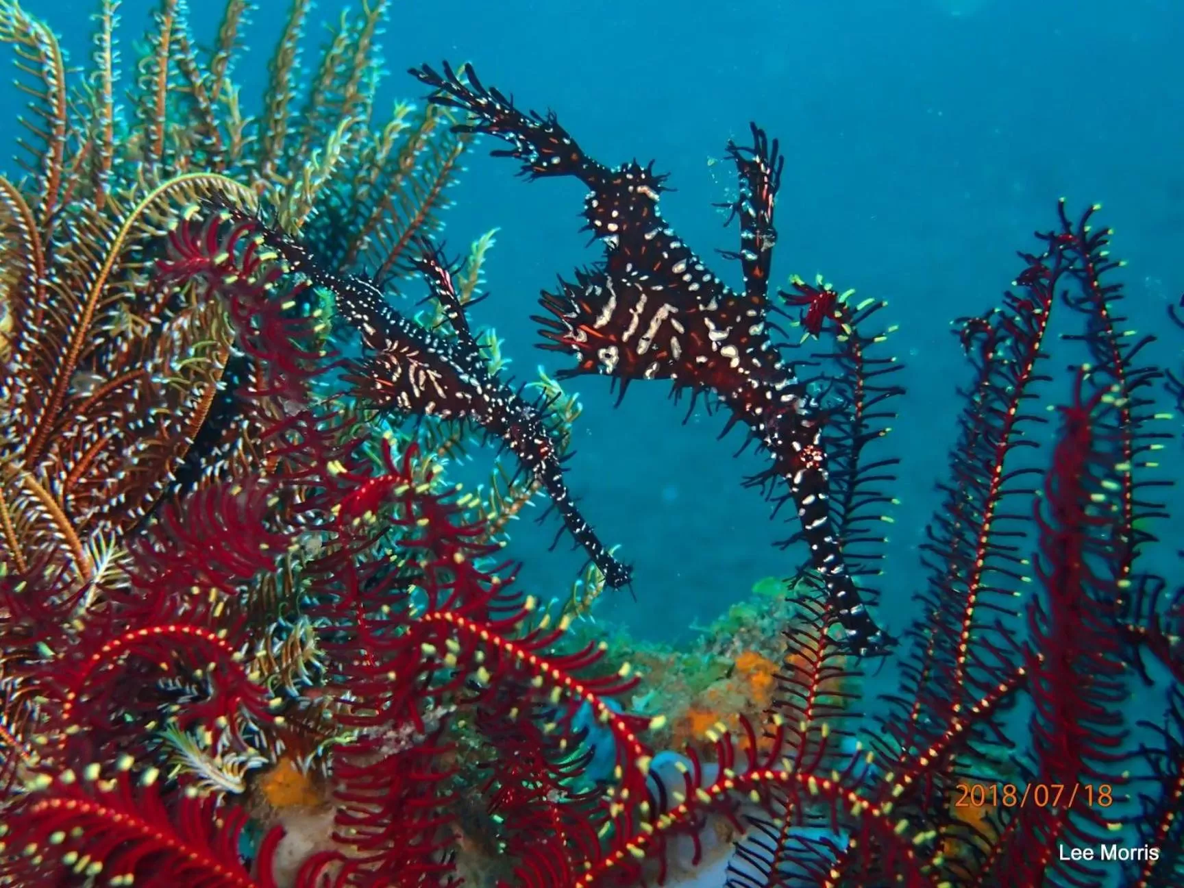 Off site in AivyMaes Divers Resort