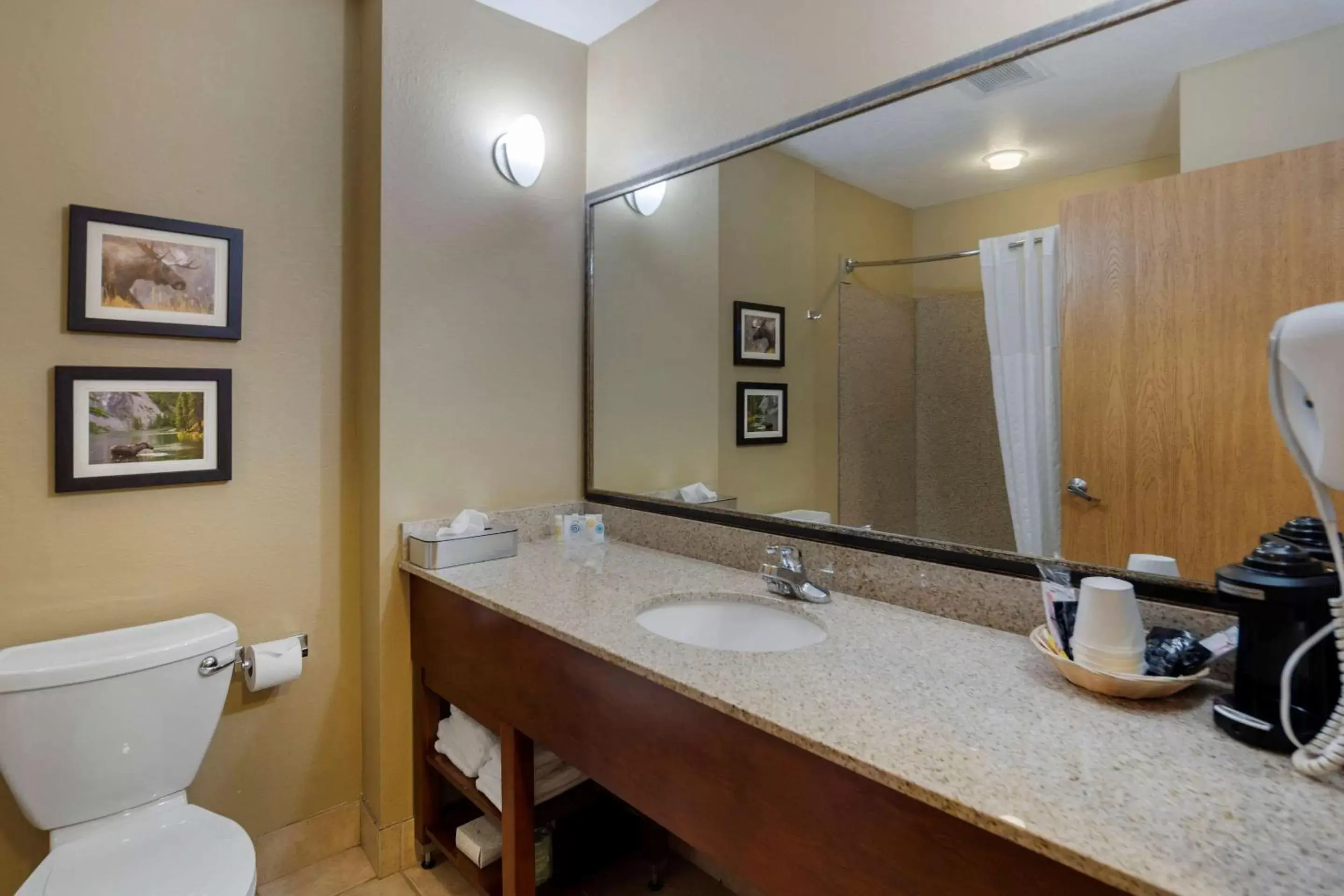 Photo of the whole room, Bathroom in Comfort Suites Anchorage International Airport