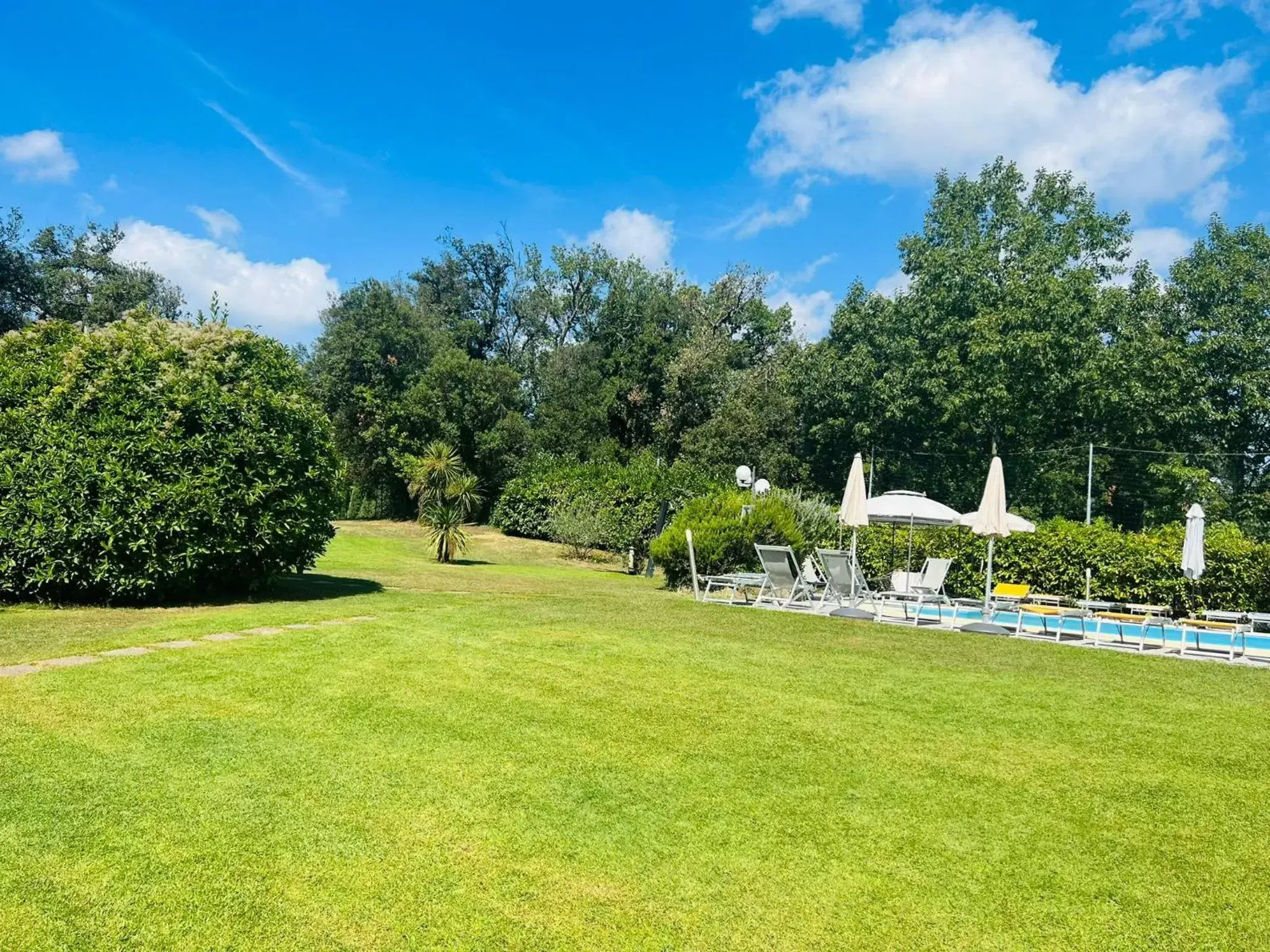 Garden in Hotel Monti