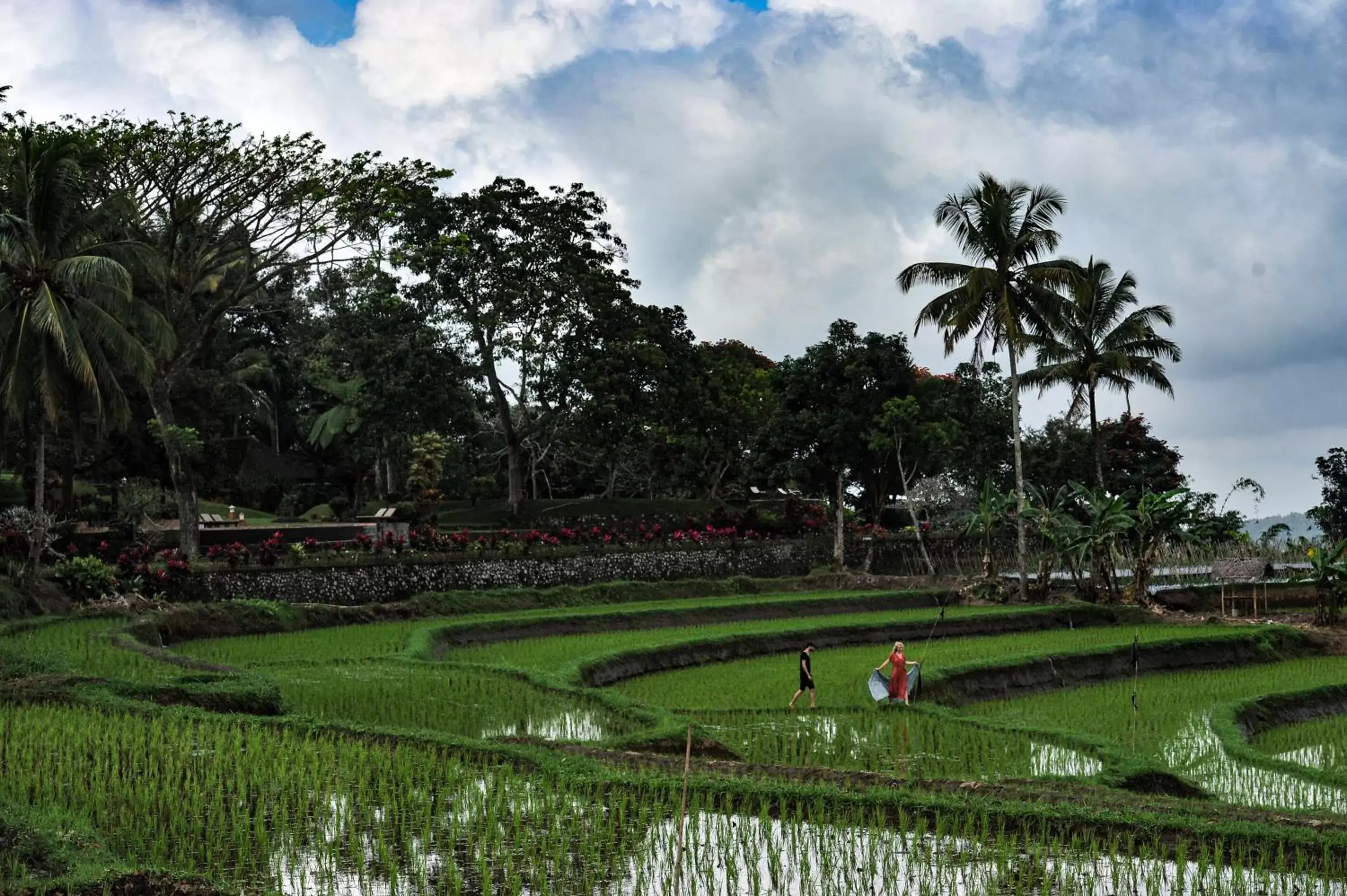 View (from property/room) in Ijen Resort and Villas - The Hidden Paradise View (from property/room) in Ijen Resort and Villas - The Hidden Paradise