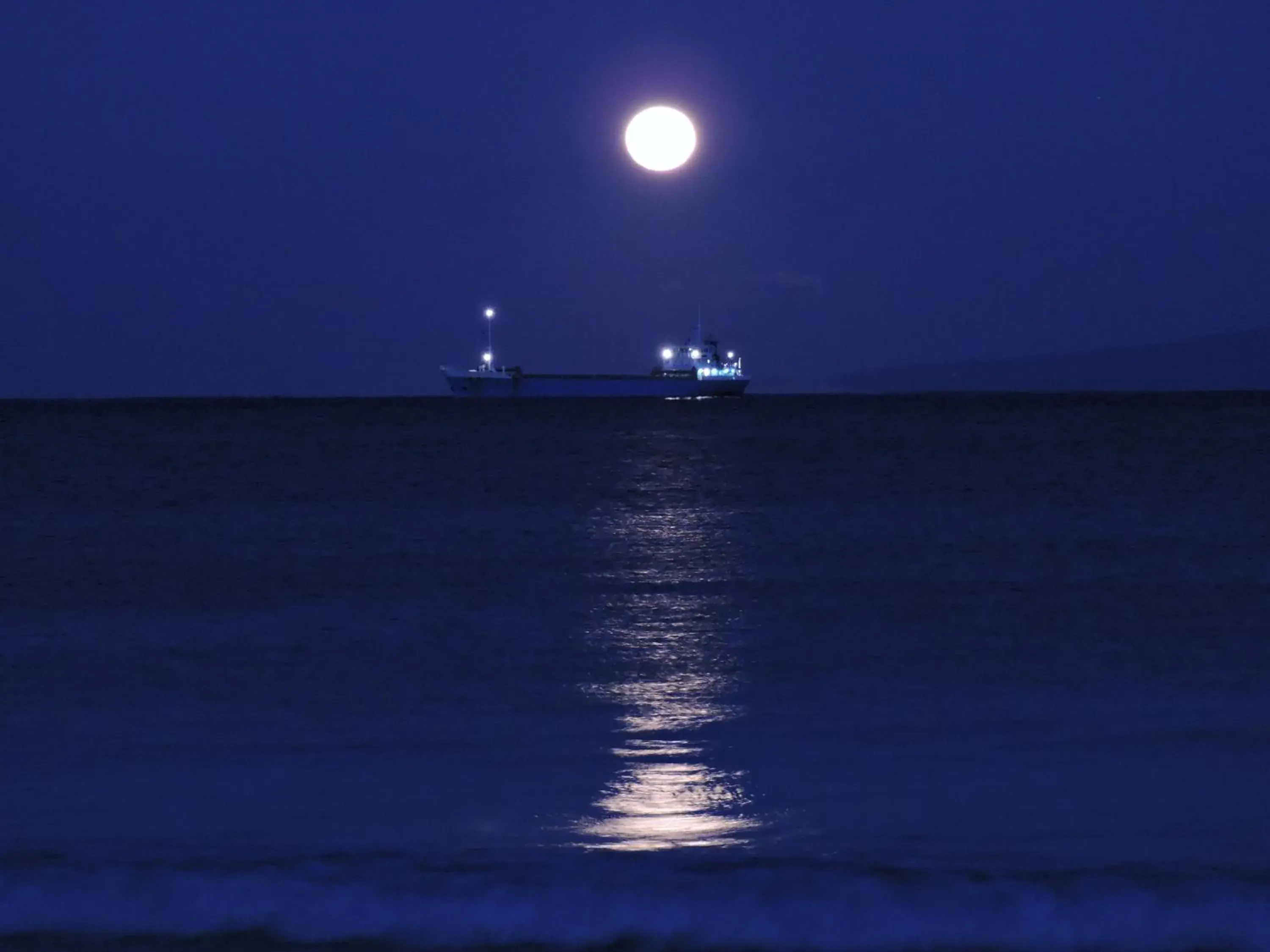 Night, Natural Landscape in Shimoda Prince Hotel