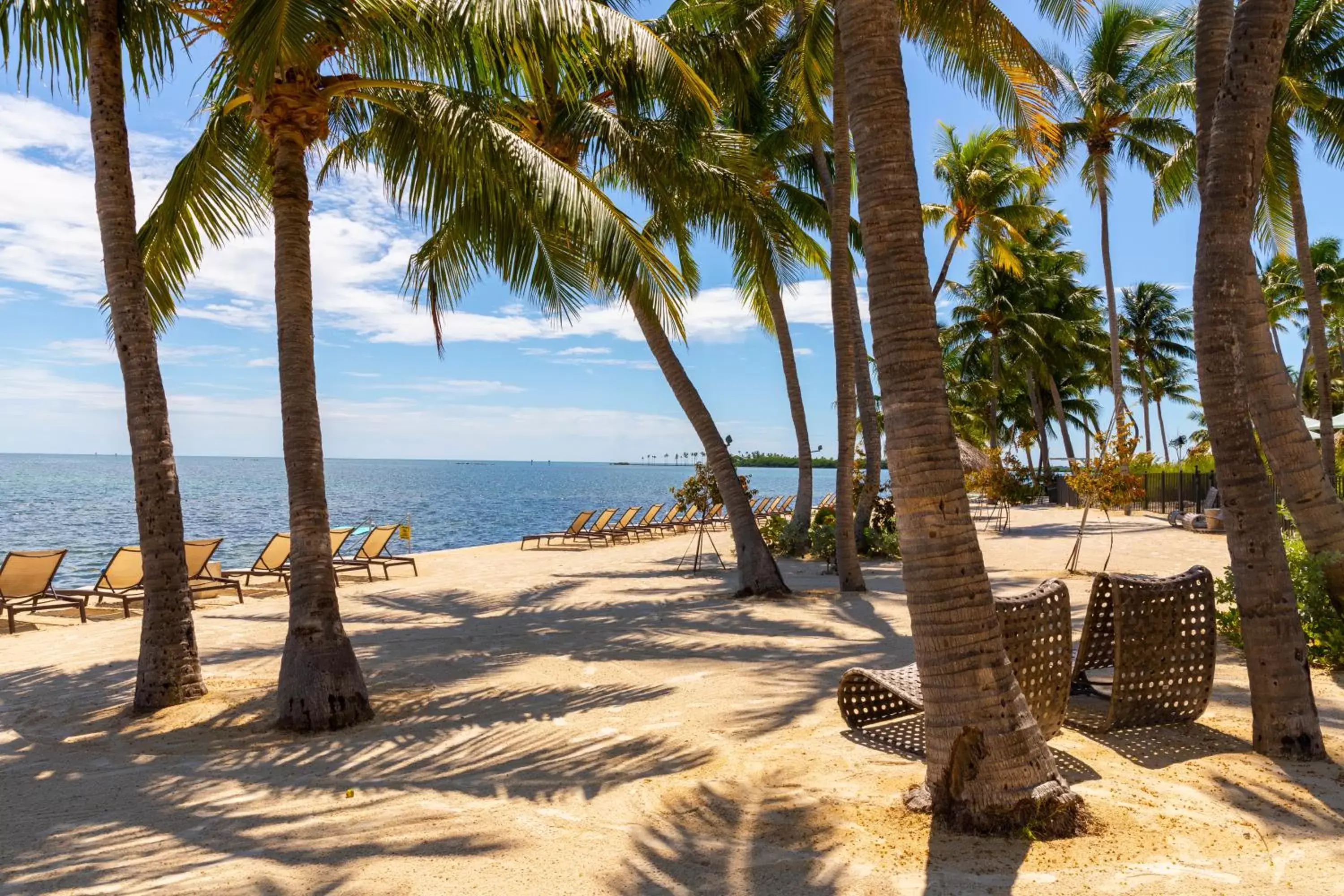 Beach in Amara Cay Resort