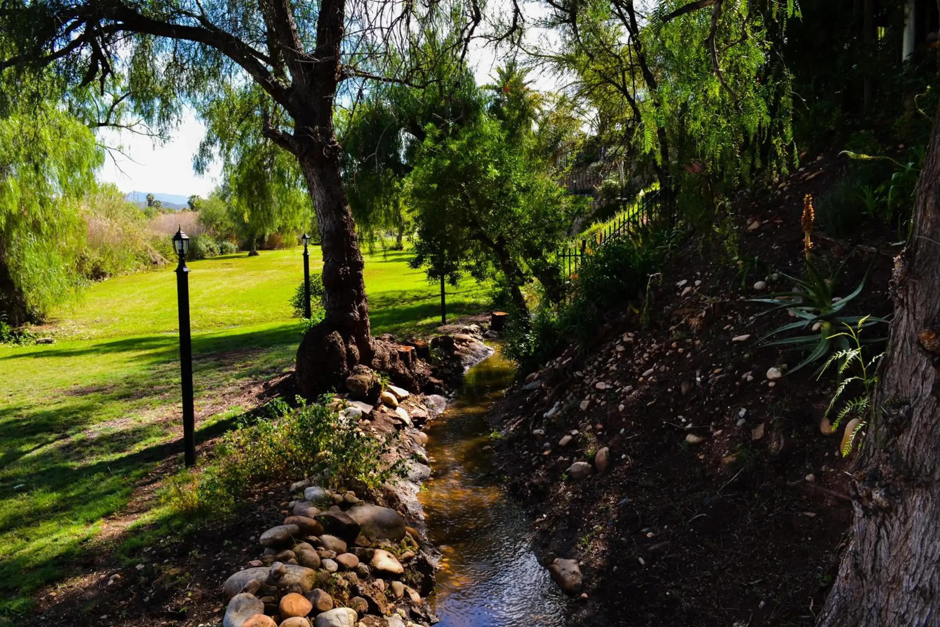 Natural landscape in Riverside Guest Lodge