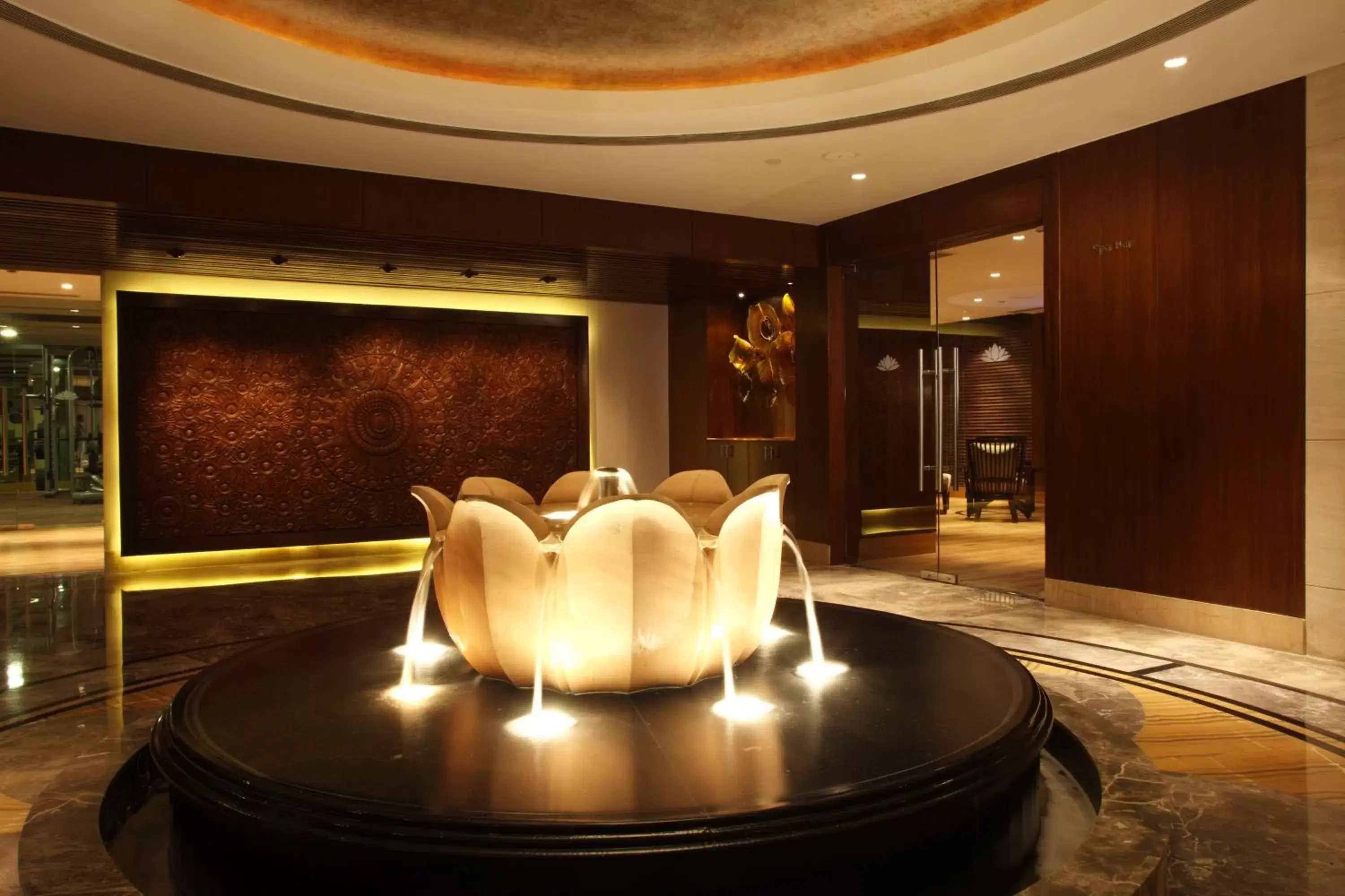 Spa and wellness centre/facilities in Radisson Blu Plaza Delhi Airport