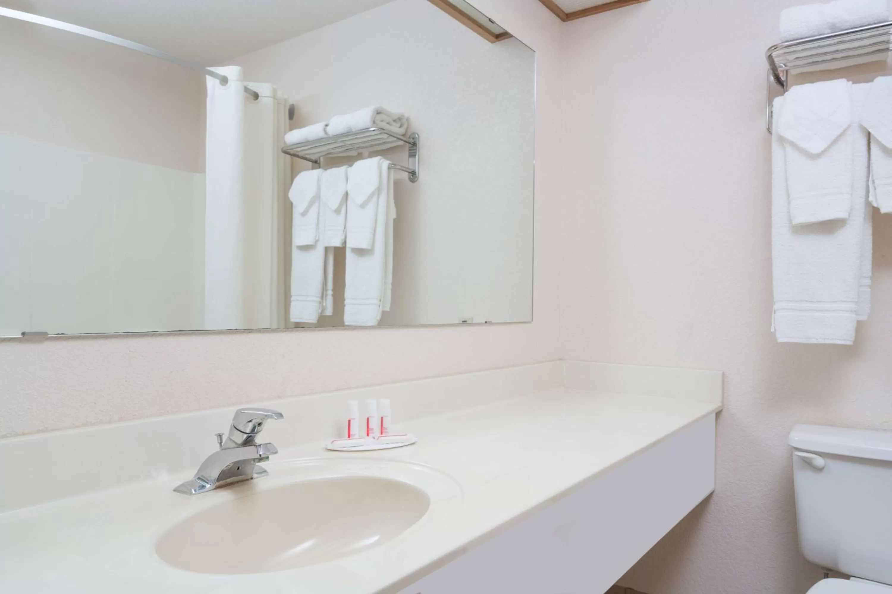 Deluxe King Suite - Non-Smoking in Super 8 by Wyndham Sheldon