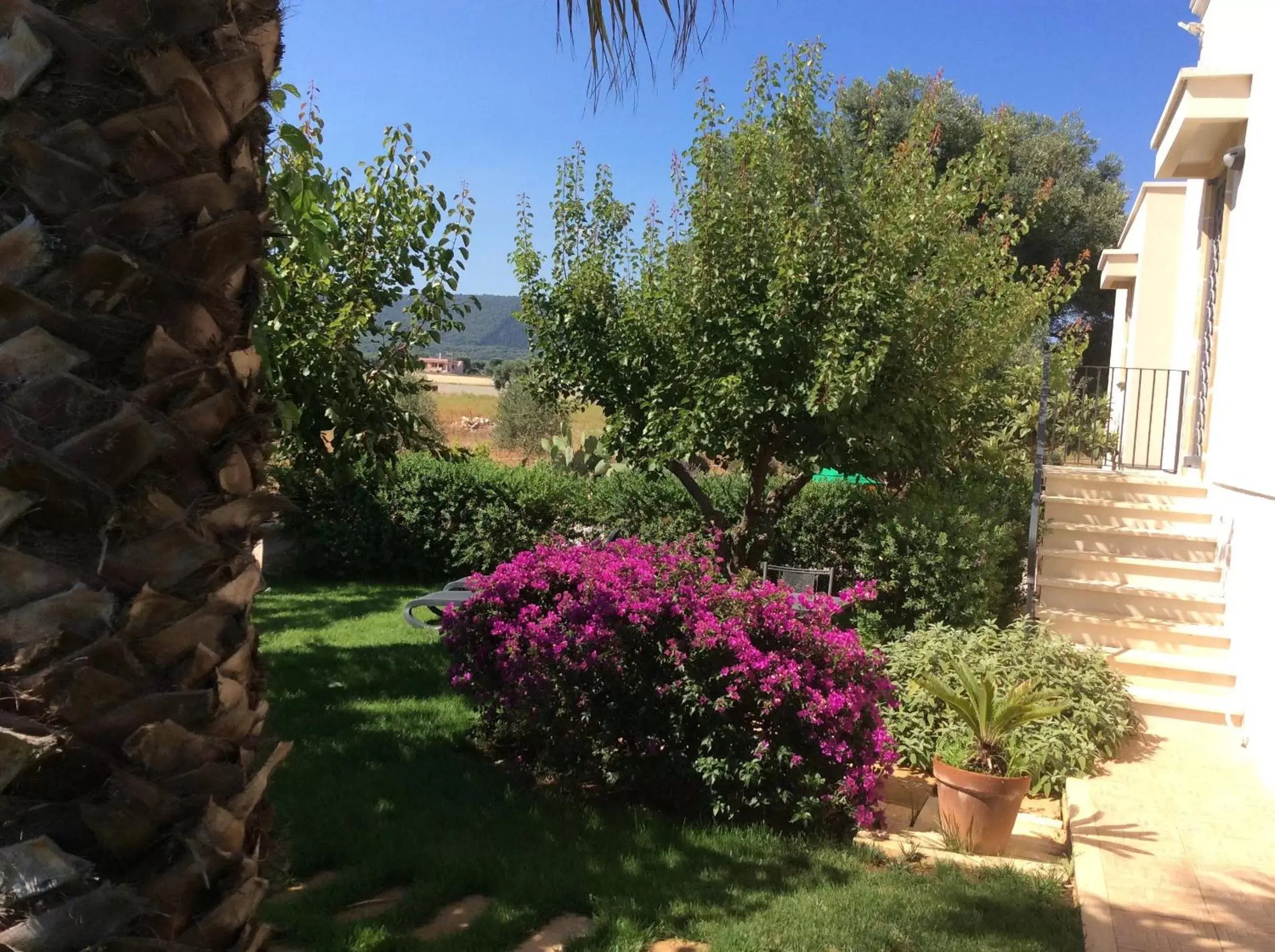 Garden in Villa Narducci