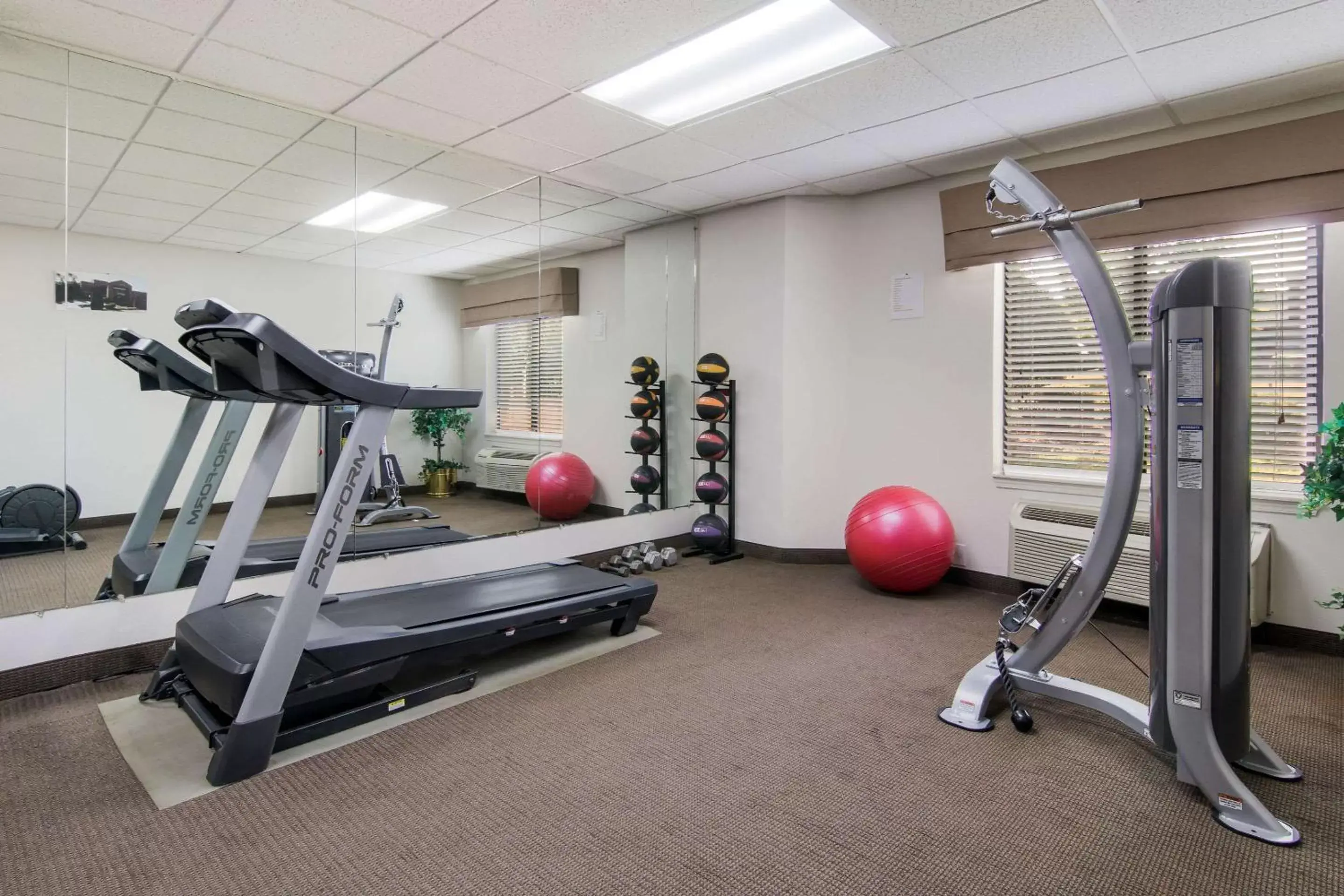 Fitness centre/facilities, Fitness Center/Facilities in Sleep Inn near The Avenue