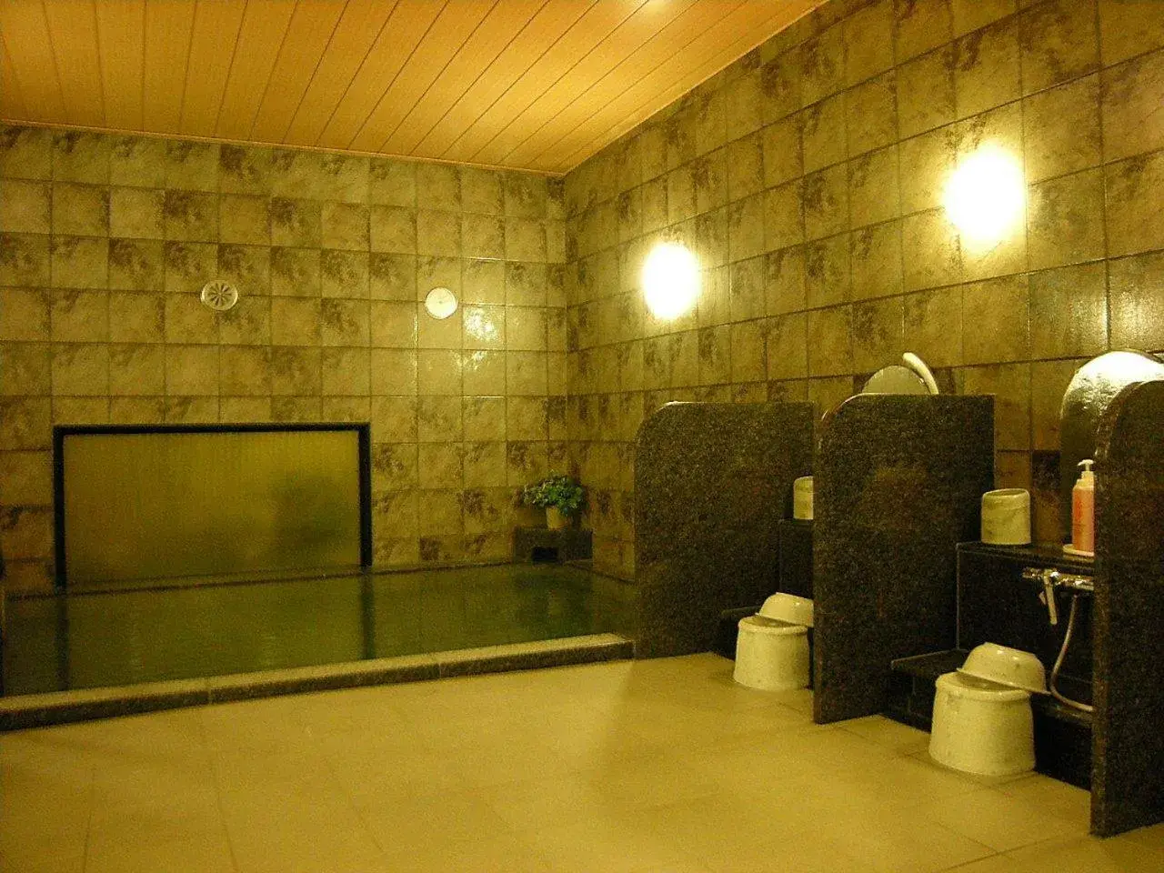 Public Bath, Bathroom in Hotel Route Inn Seki