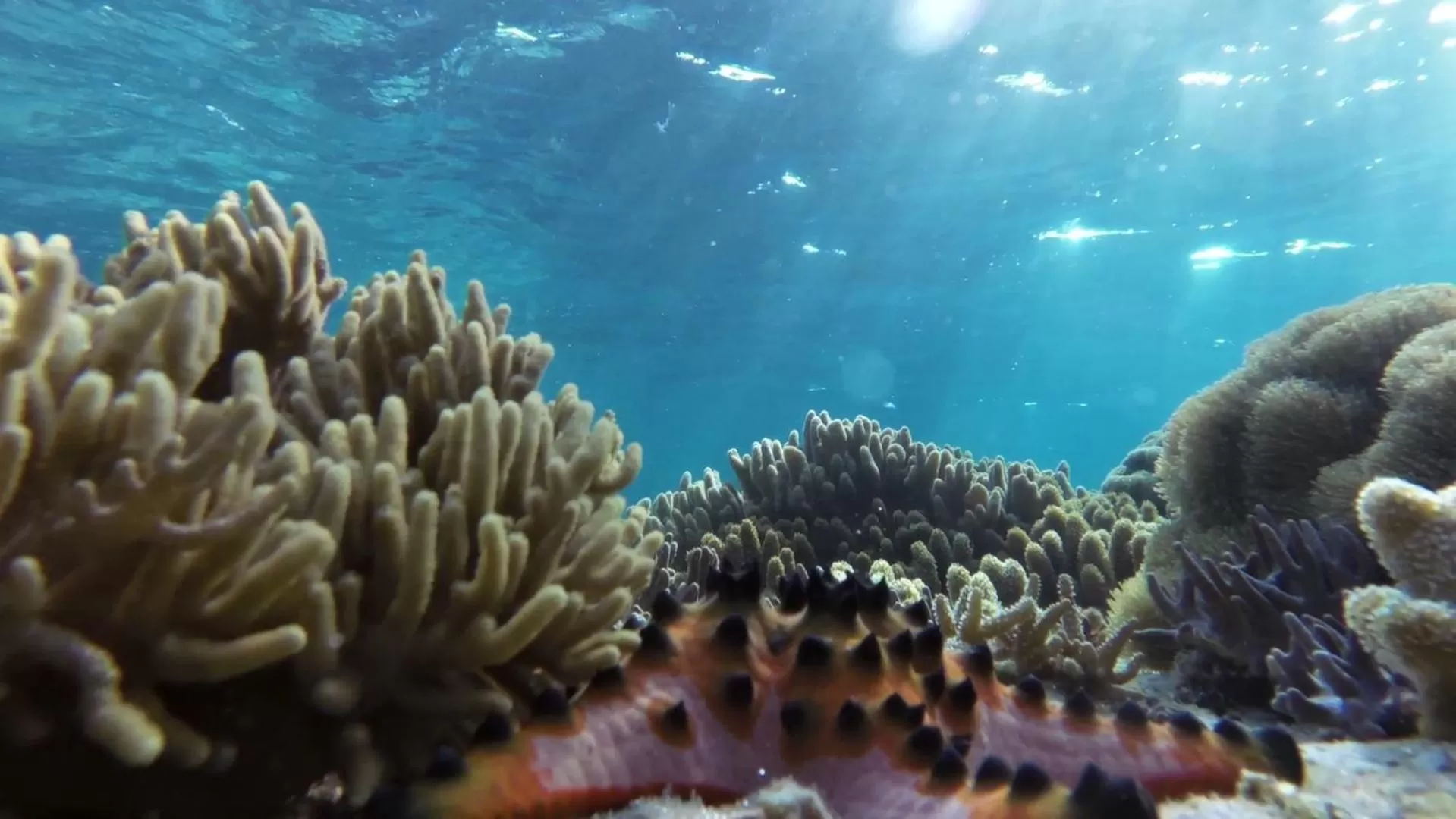 Sea view in Ancelle Cristo Re