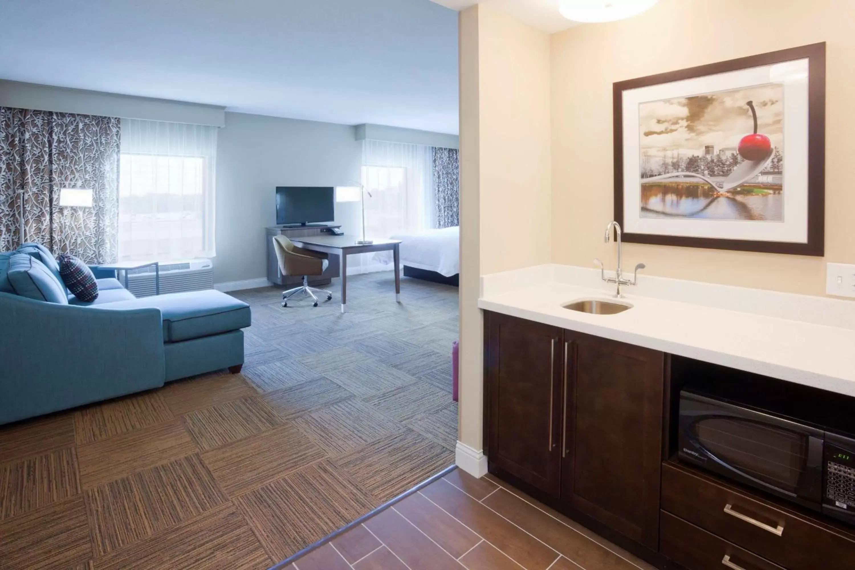 Bed, TV/Entertainment Center in Hampton Inn Minneapolis-Roseville,MN