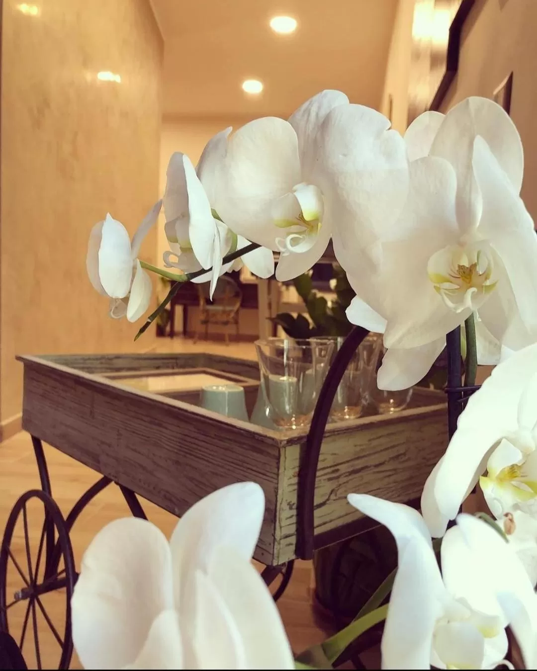 Decorative detail in Isolabella