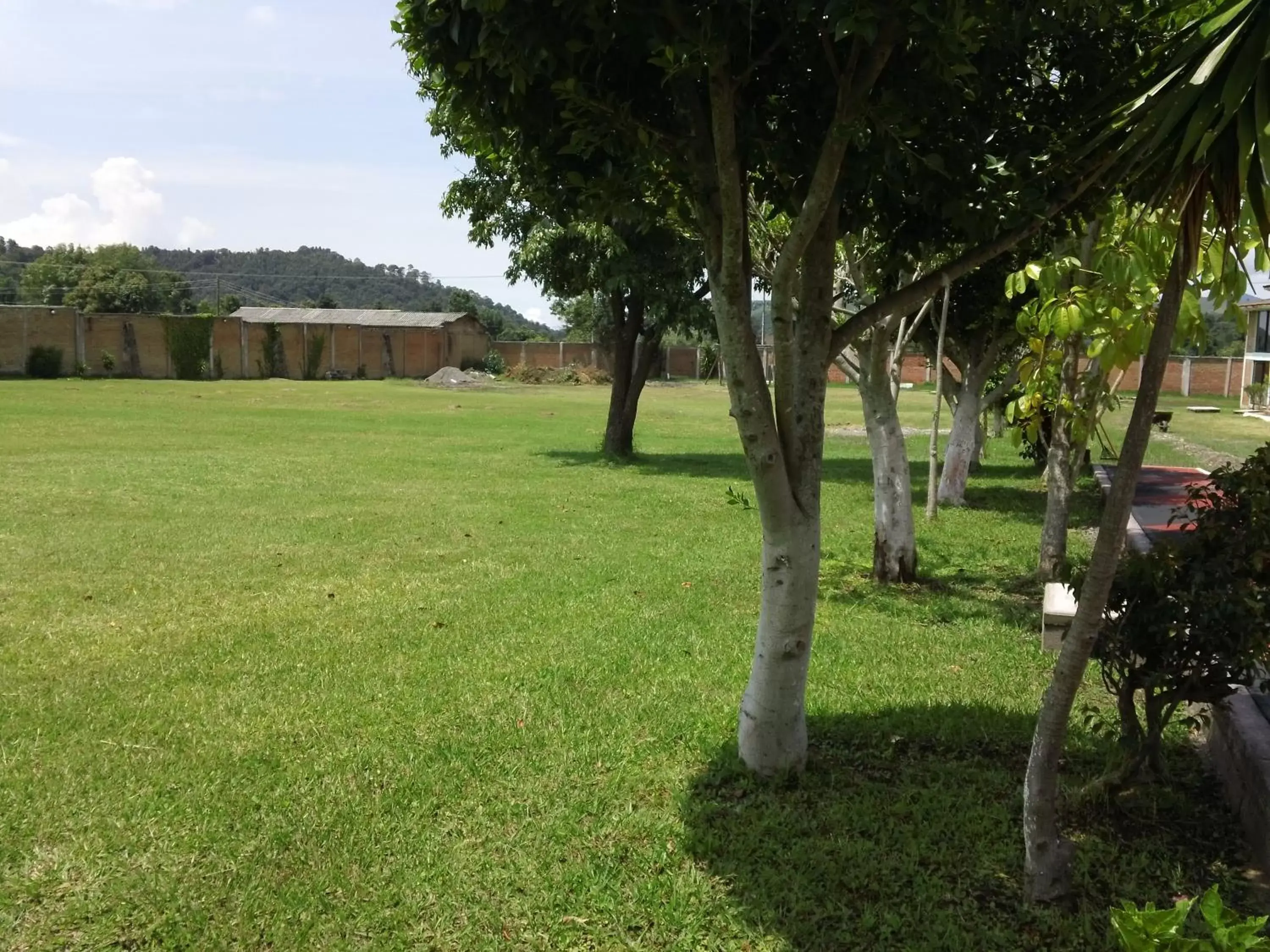 Garden in Hotel Villa Monarca Inn