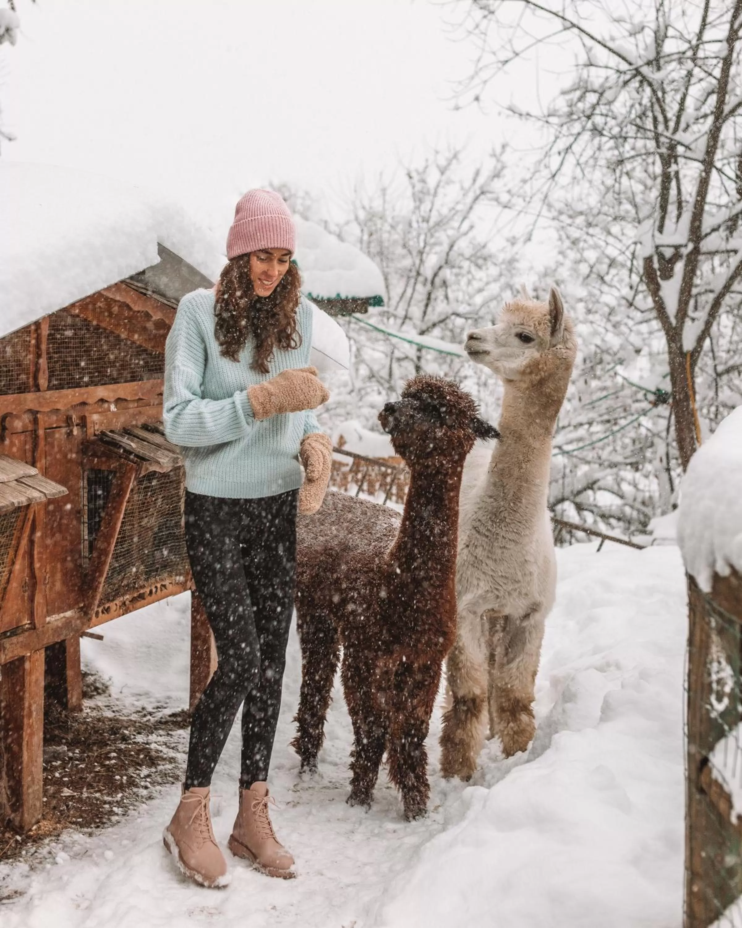 Garden view in Hotel Chalet Al Foss - Adults Only