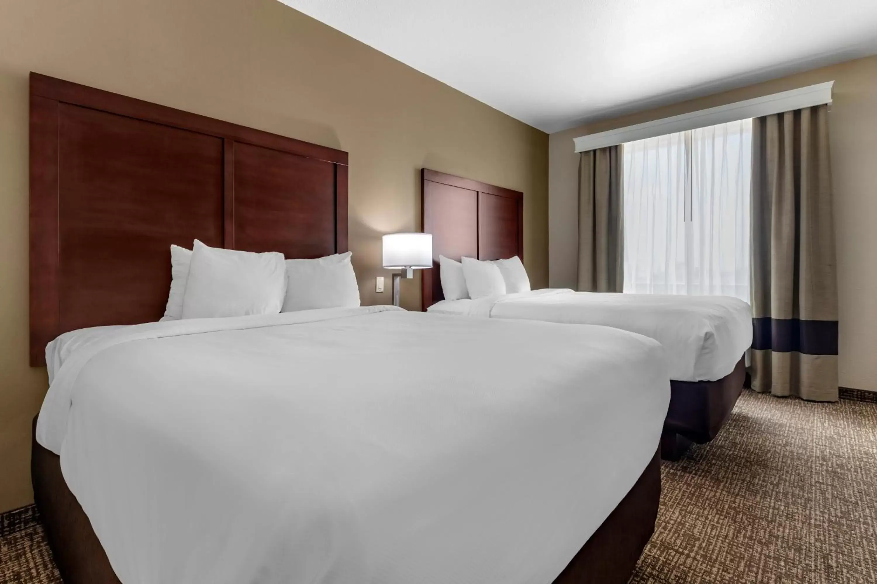 Bed in Comfort Inn & Suites Near Lake Lewisville