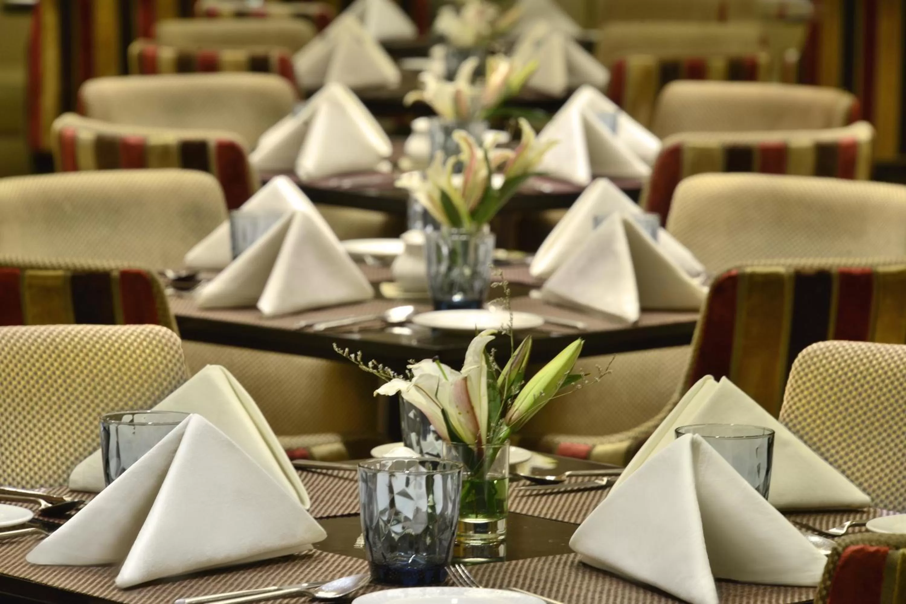 Restaurant/places to eat in Radisson Blu Jaipur