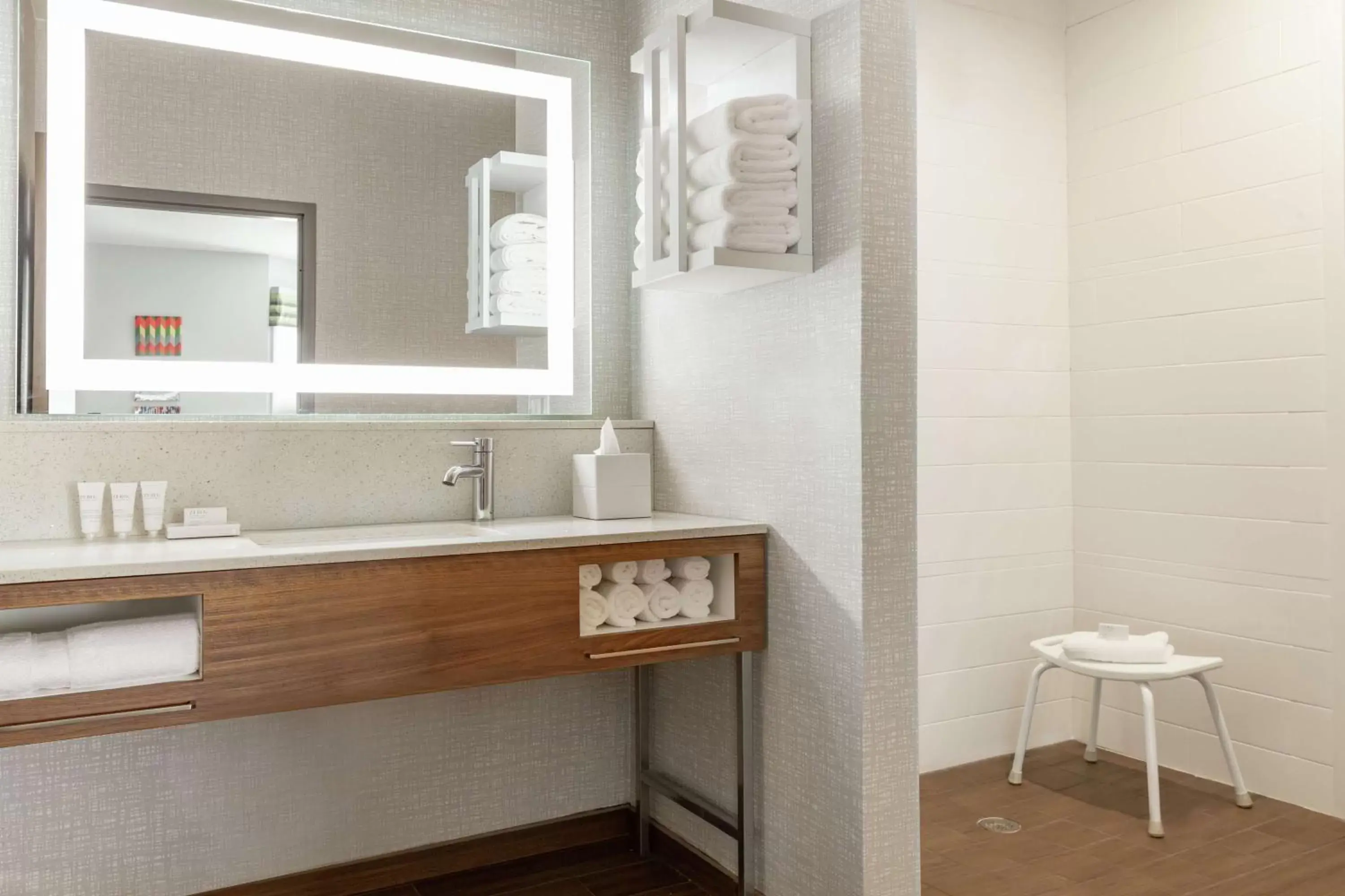 Bathroom in Hampton Inn & Suites Houston-Cypress Station