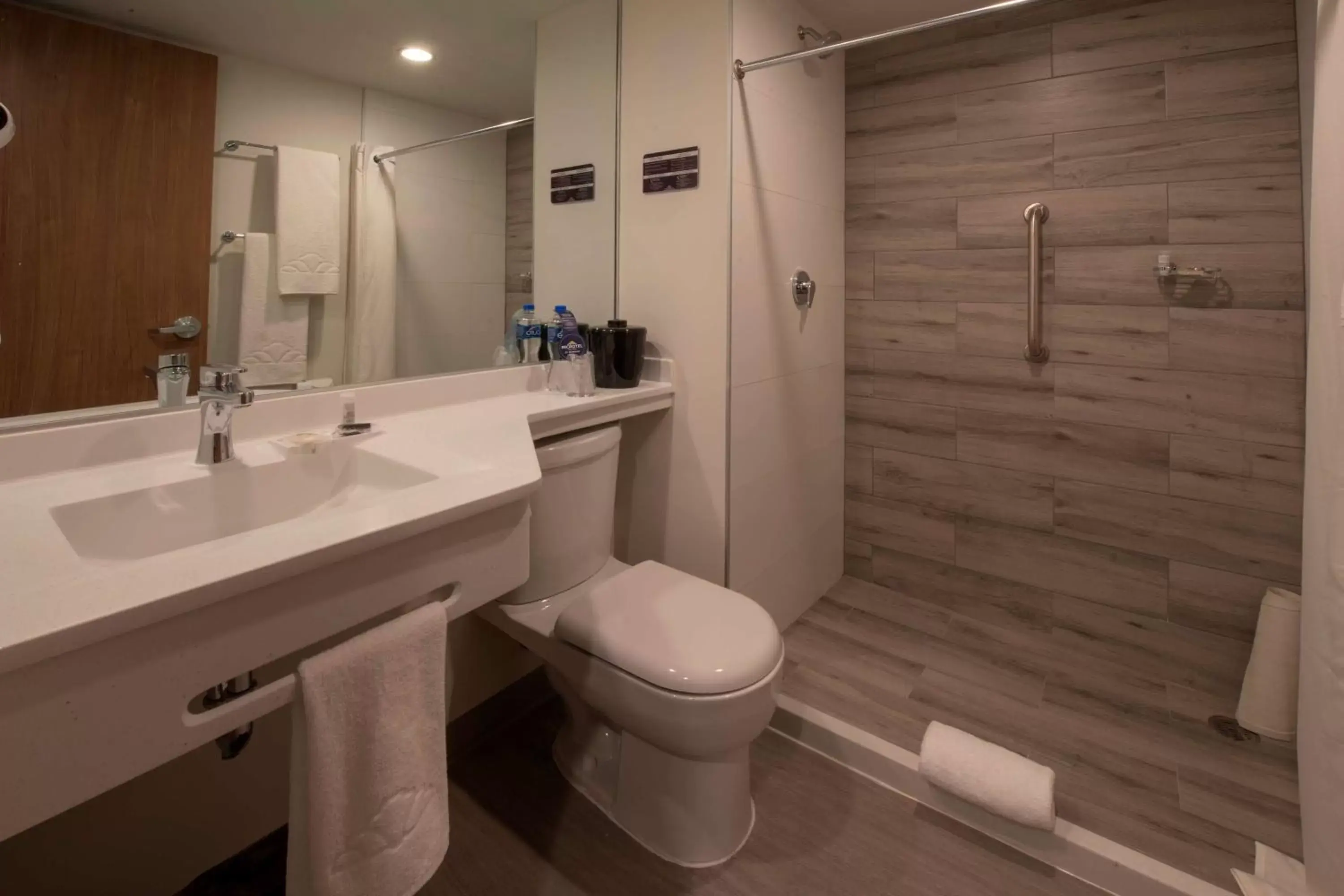 Toilet, Bathroom in Microtel Inn & Suites by Wyndham San Luis Potosi