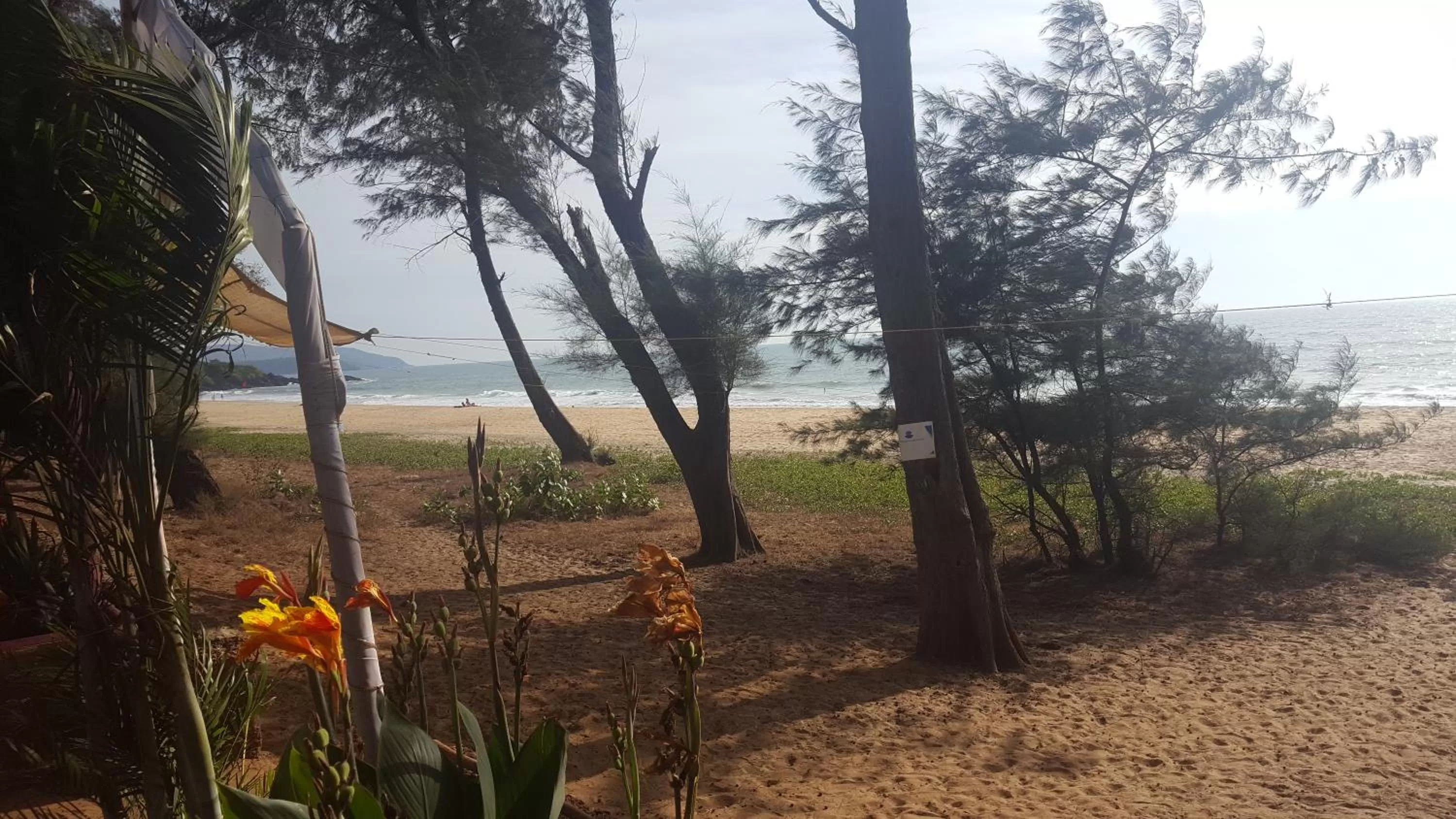 Natural landscape in Peace Garden Beach Resort