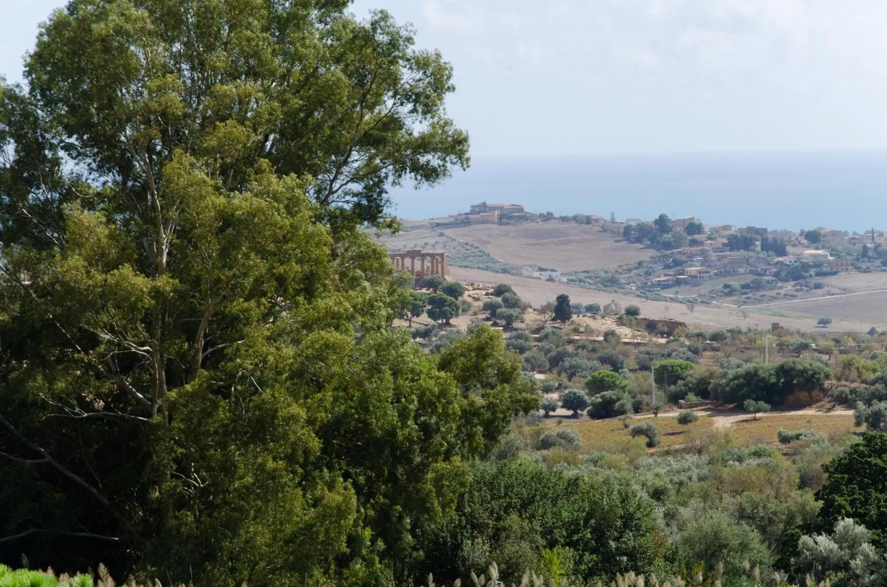 Landmark view in Panoramica dei Templi B&B