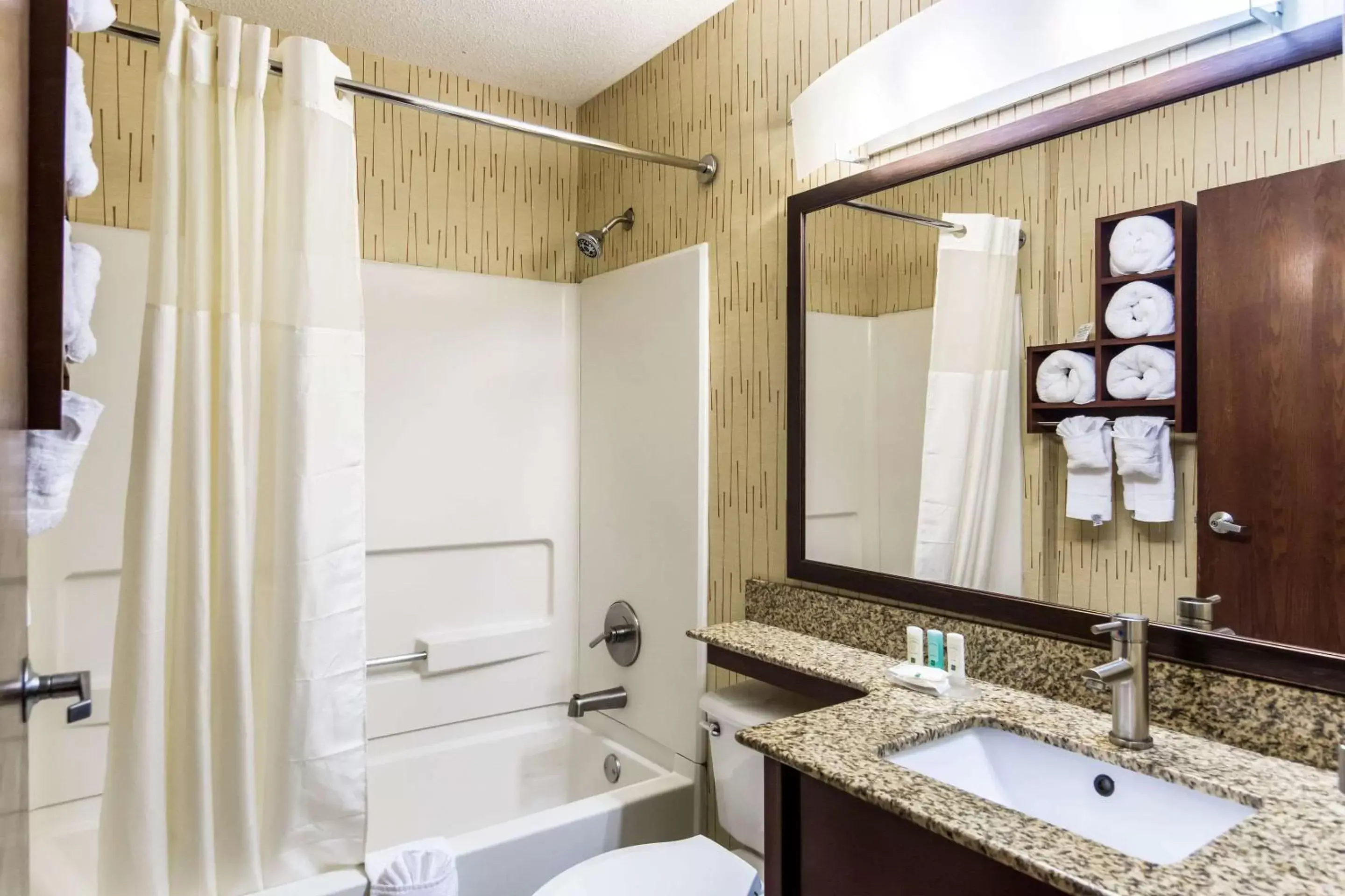 Photo of the whole room, Bathroom in Quality Inn Chester - South Richmond