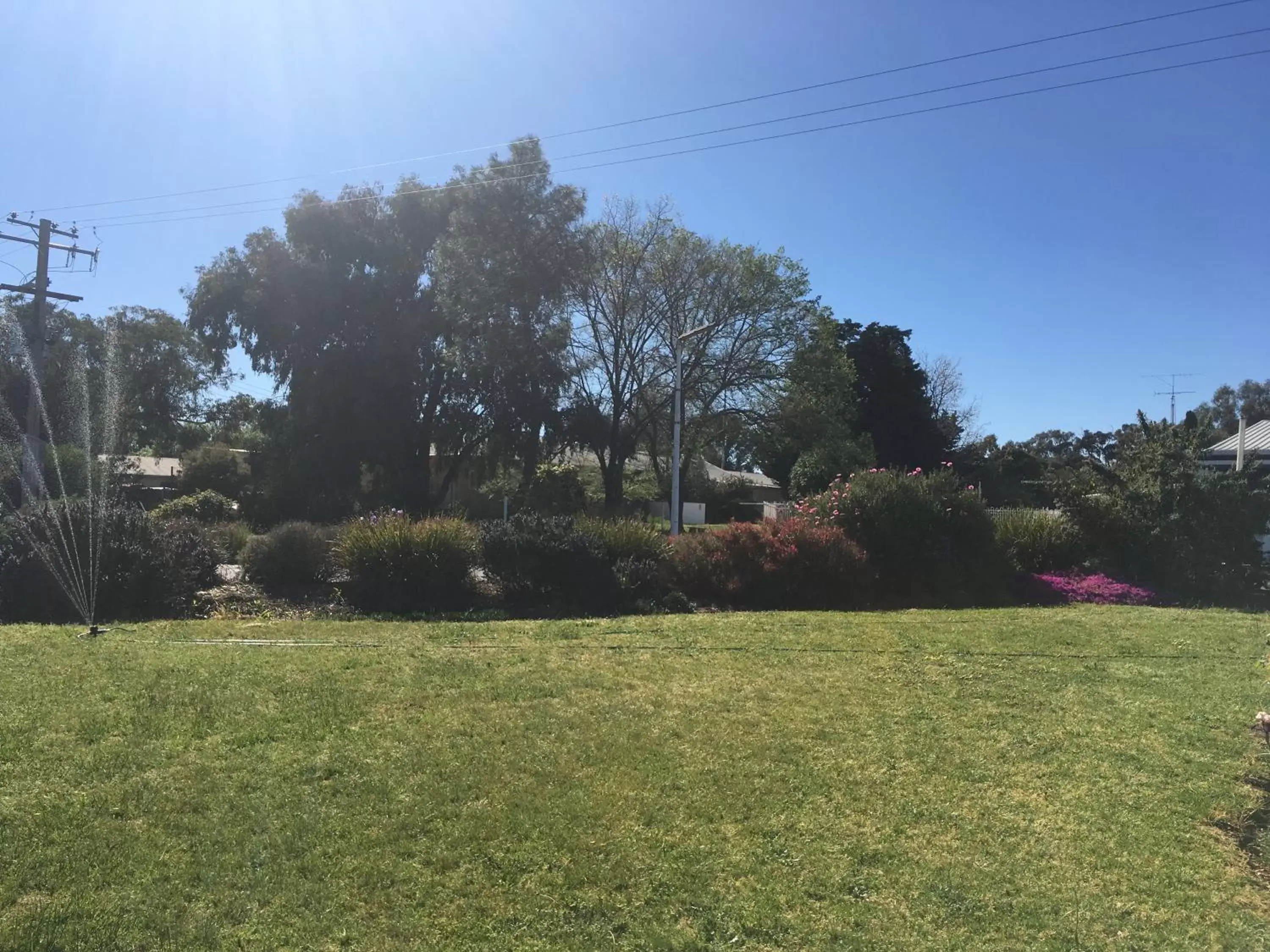 Garden in Byer Fountain Motor Inn