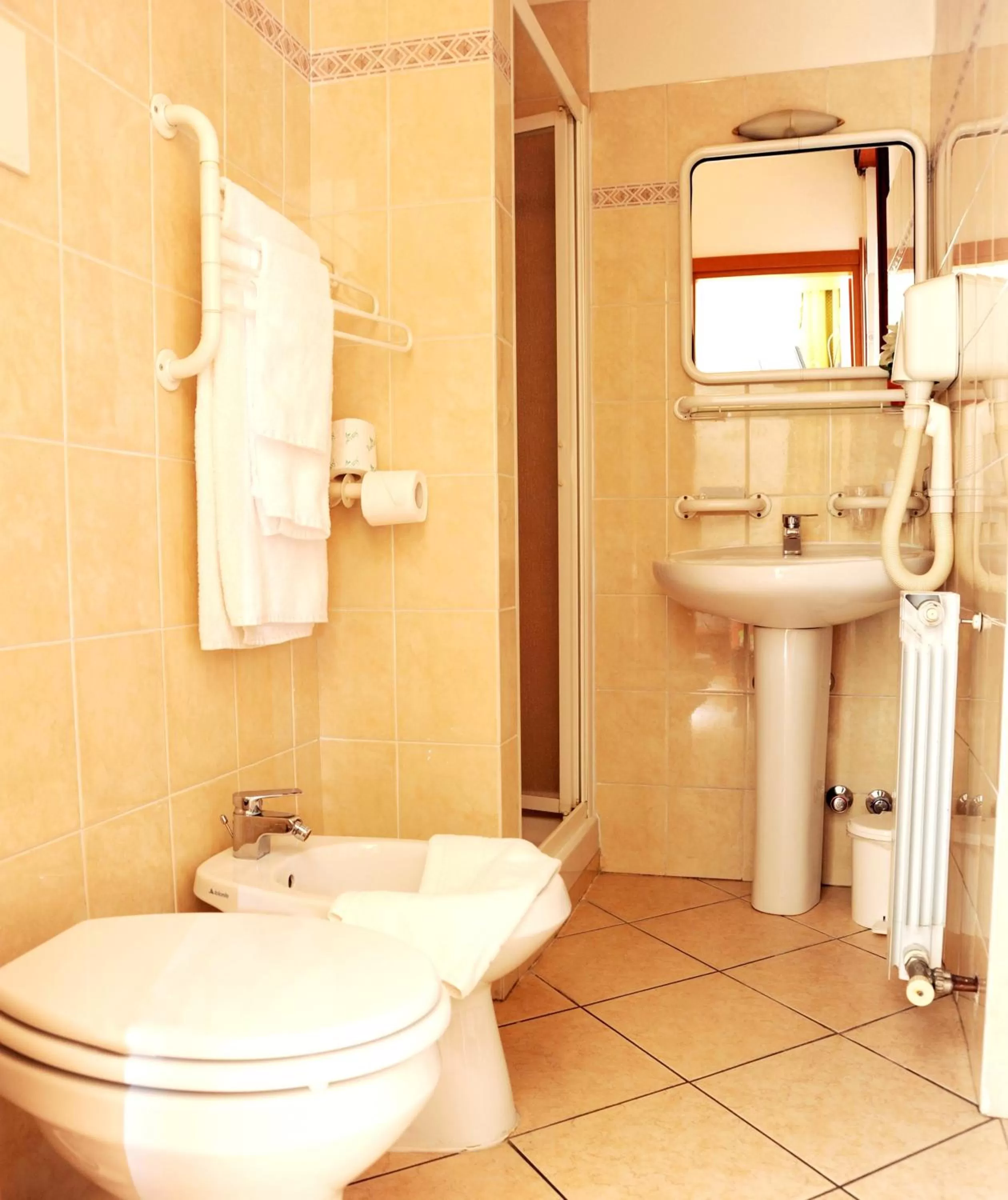 Single Room in Hotel San Siro Fiera