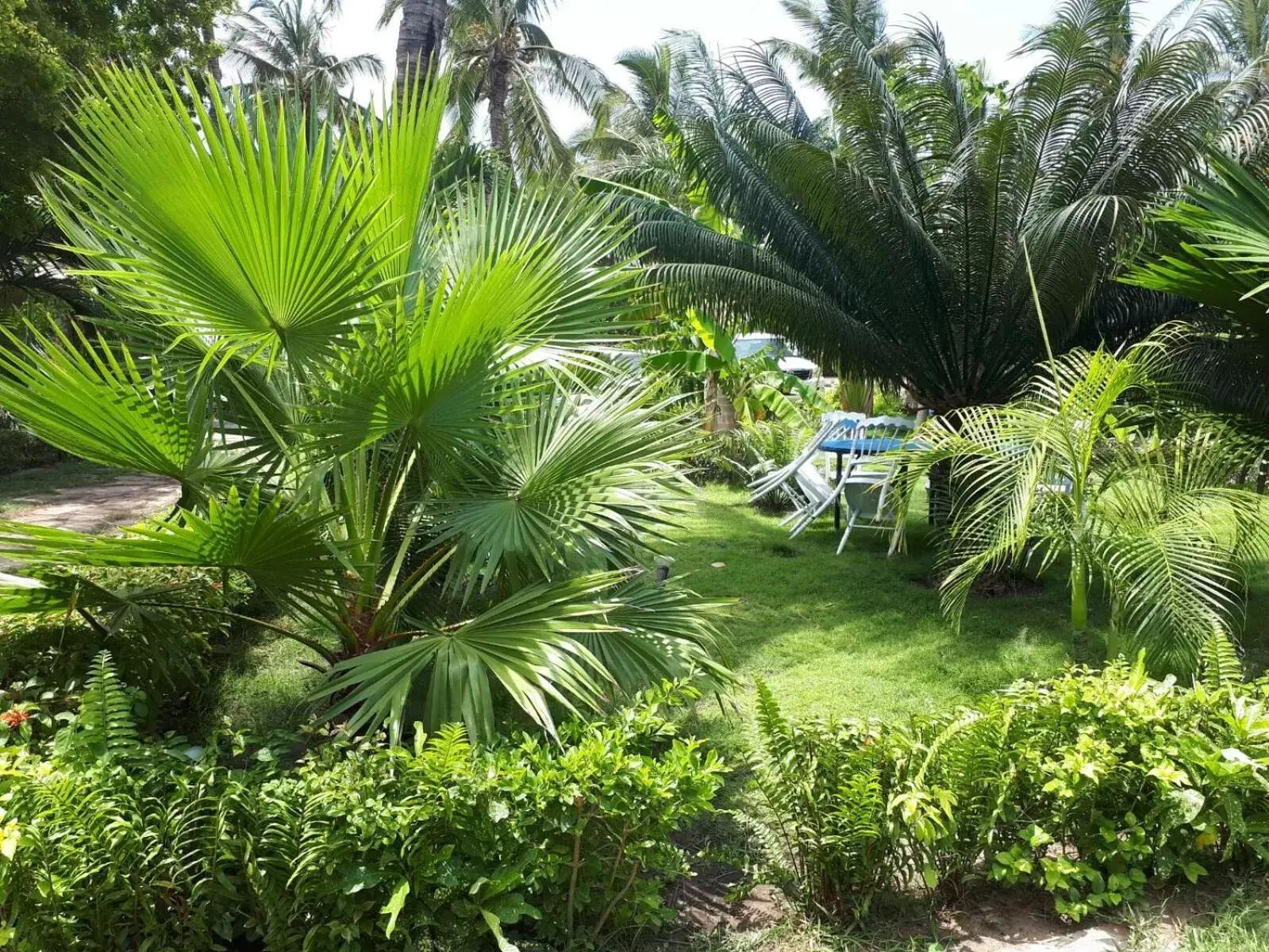 Garden in Kijiji Beach Resort