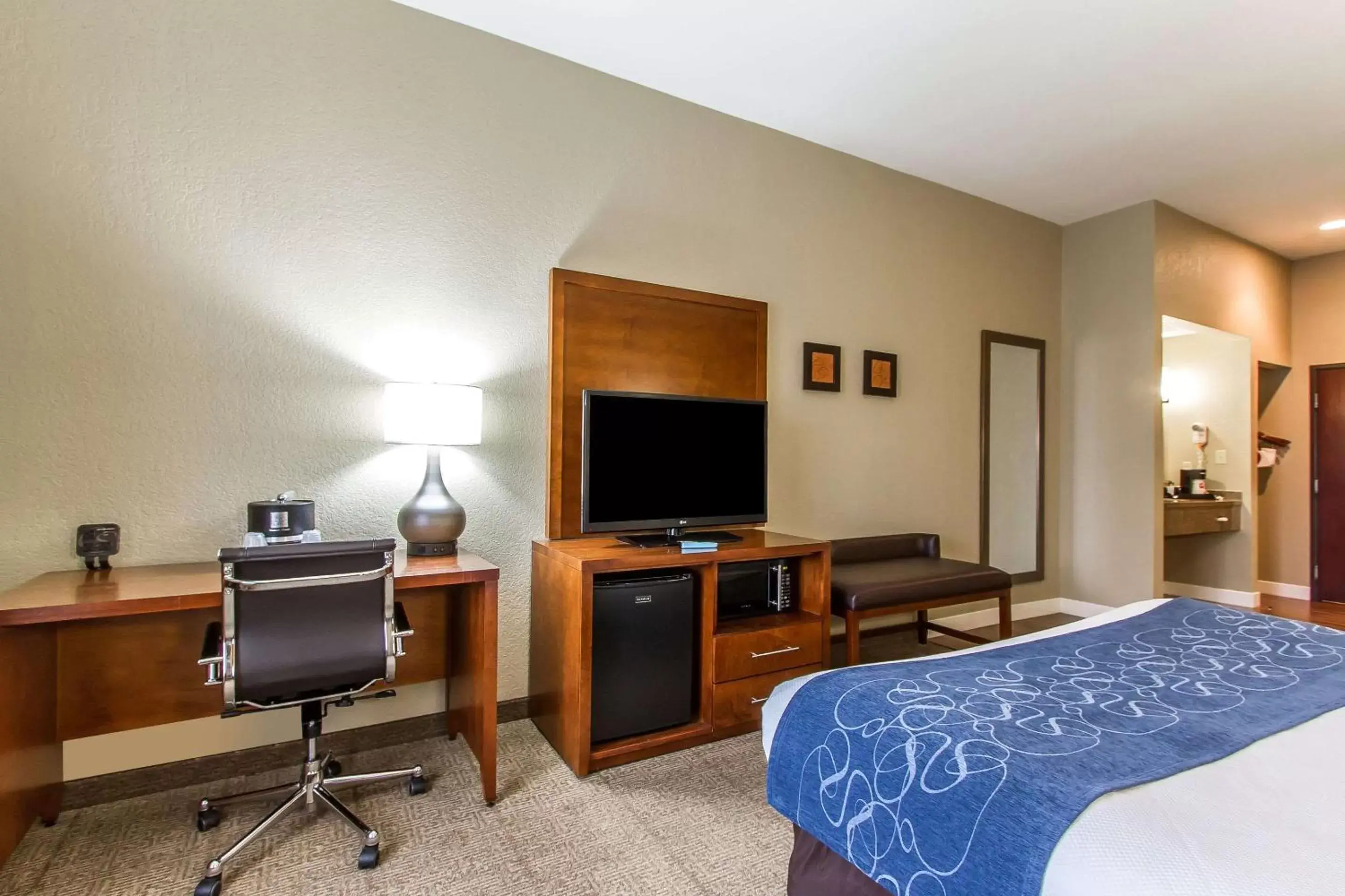 Photo of the whole room, TV/Entertainment Center in Comfort Suites Mattoon Illinois