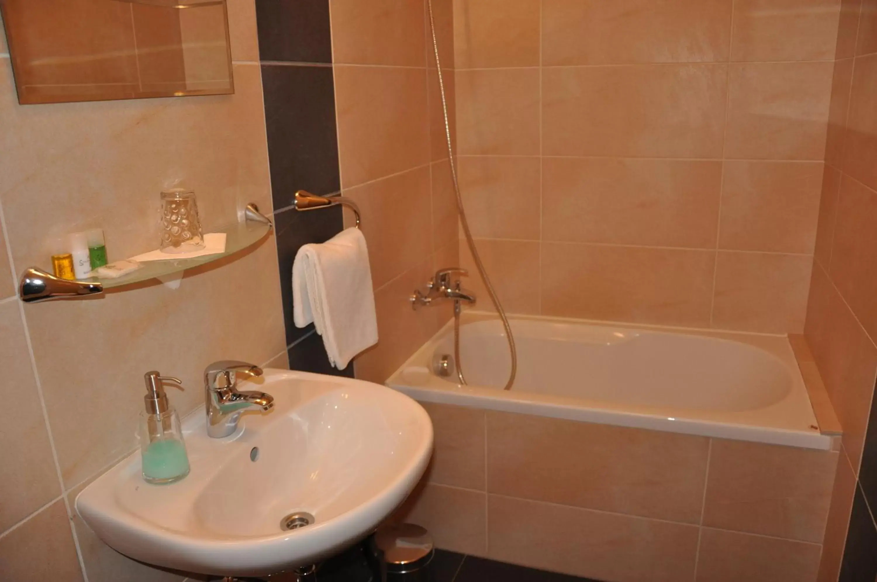 Single Room in Hotel Lions Plzen Single Room in Hotel Lions Plzen