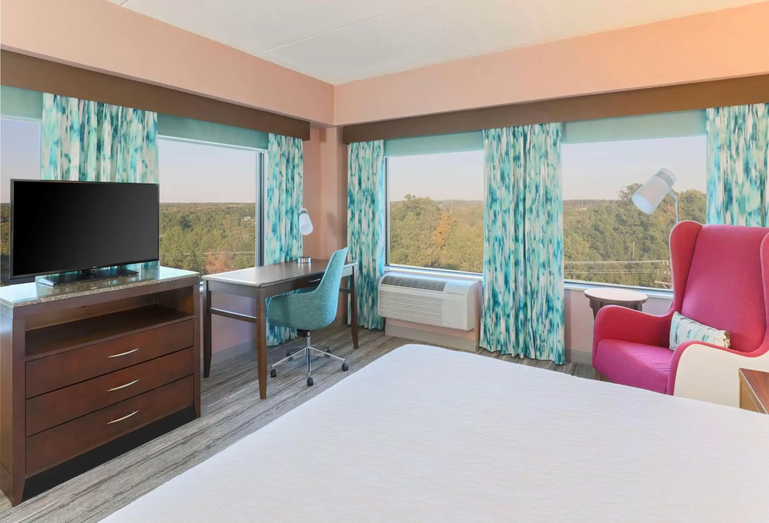 Bedroom, TV/Entertainment Center in Hilton Garden Inn Raleigh-Durham/Research Triangle Park