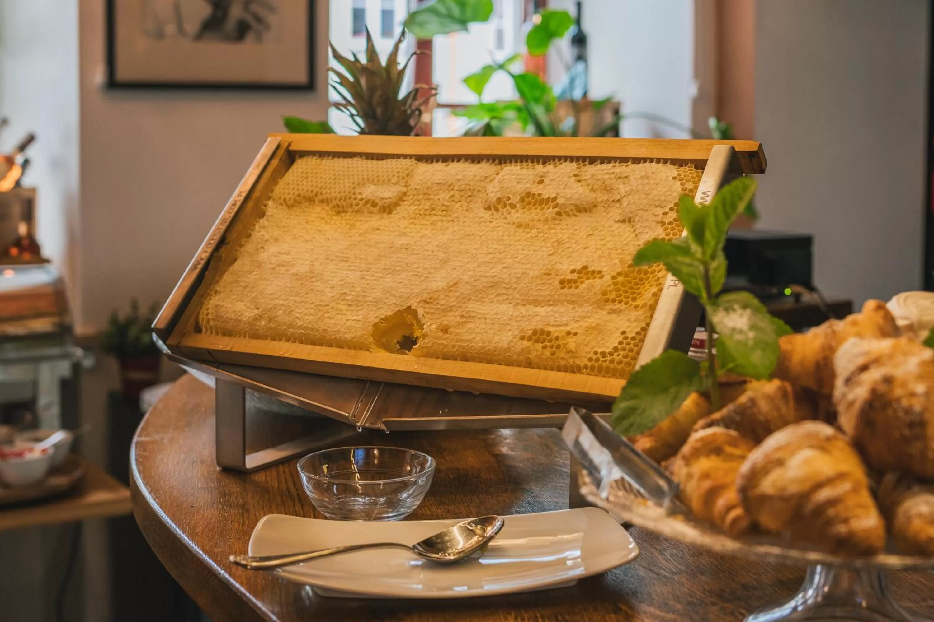 Food in Ventus Rosa Boutique Aparthotel