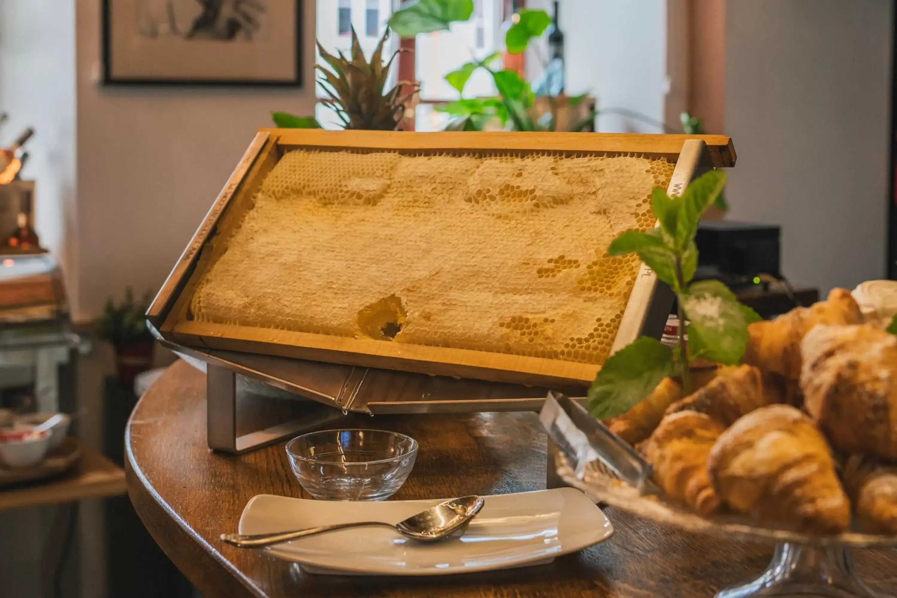 Food in Ventus Rosa Boutique Aparthotel Food in Ventus Rosa Boutique Aparthotel