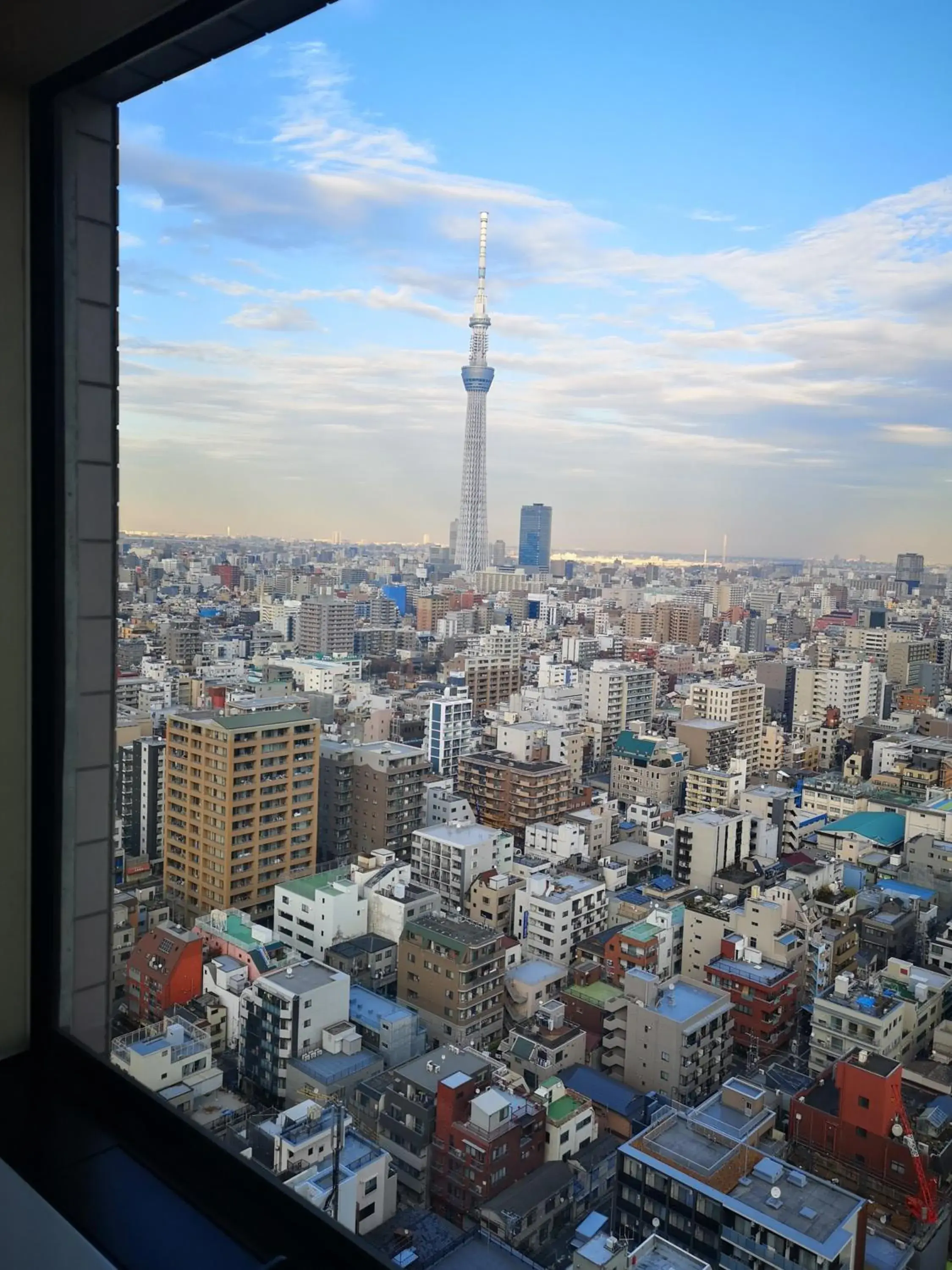 Landmark view, City View in Dai-ichi Hotel Ryogoku
