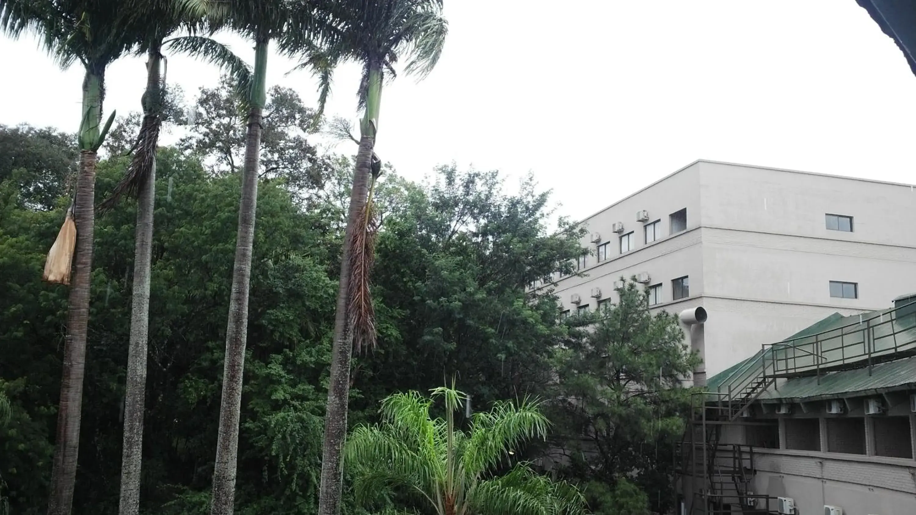 Natural landscape in Hotel El Libertador