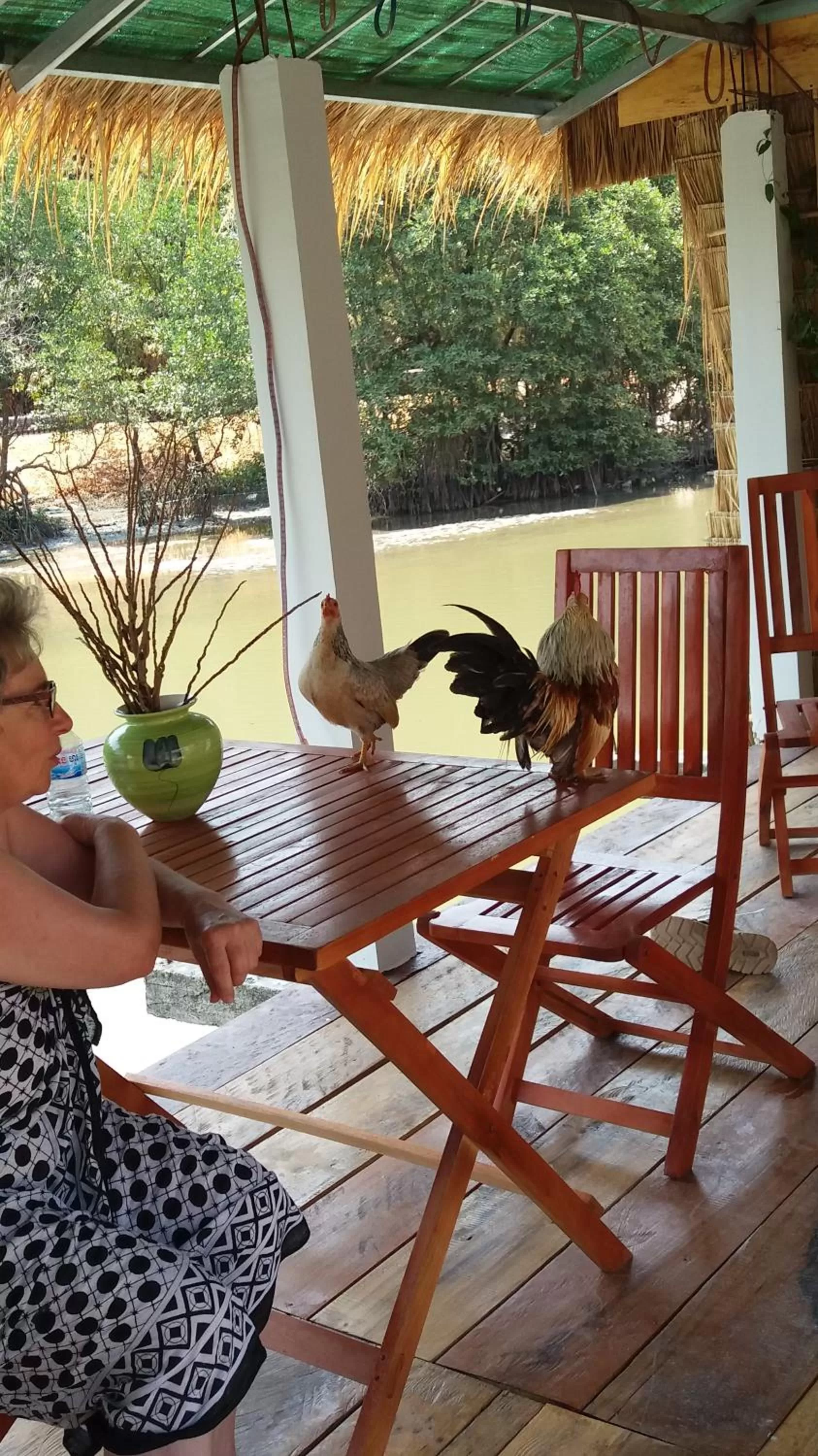 Patio, Balcony/Terrace in Spayhiti