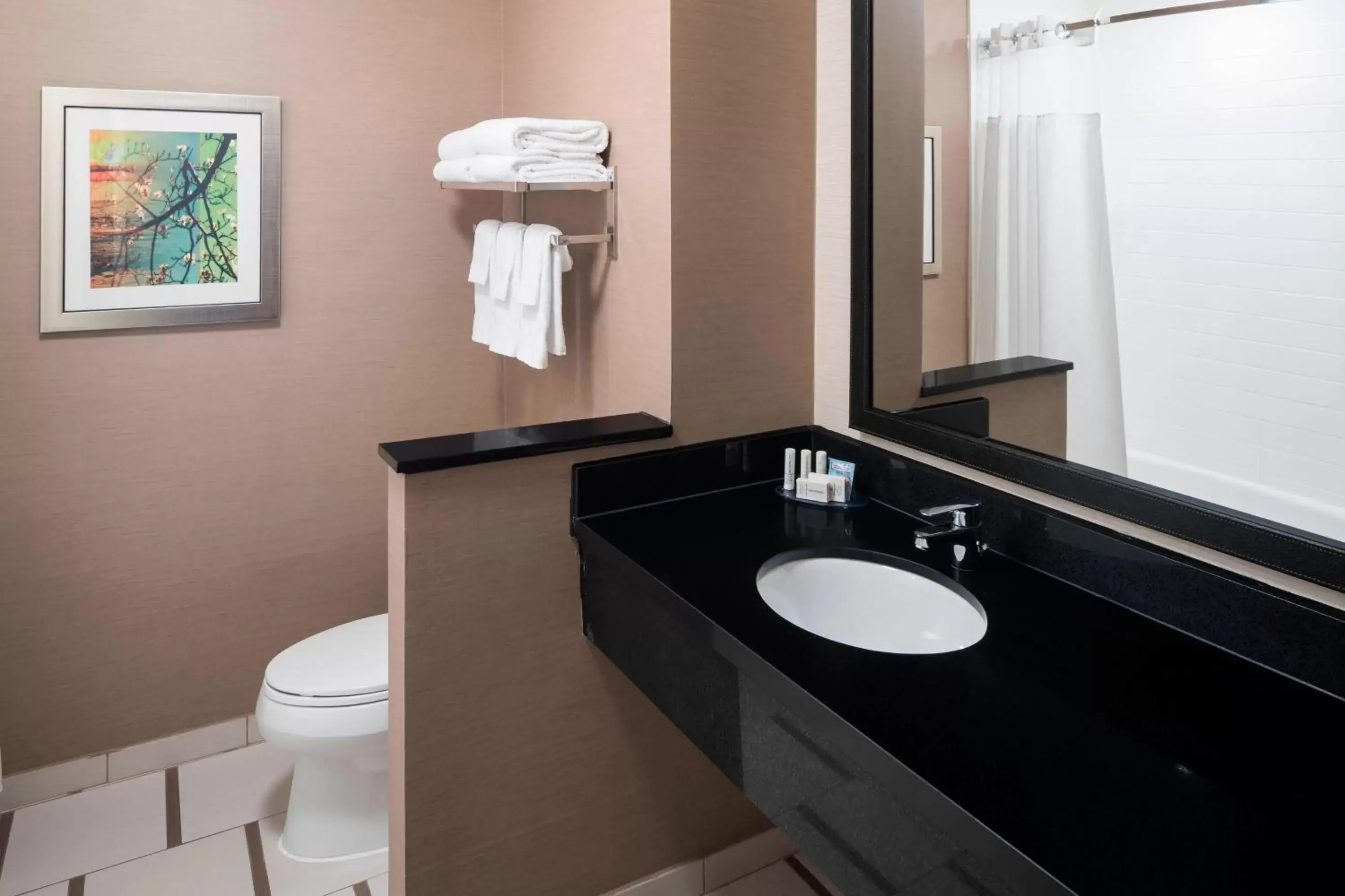 Bathroom in Fairfield Inn & Suites by Marriott Houston Pasadena