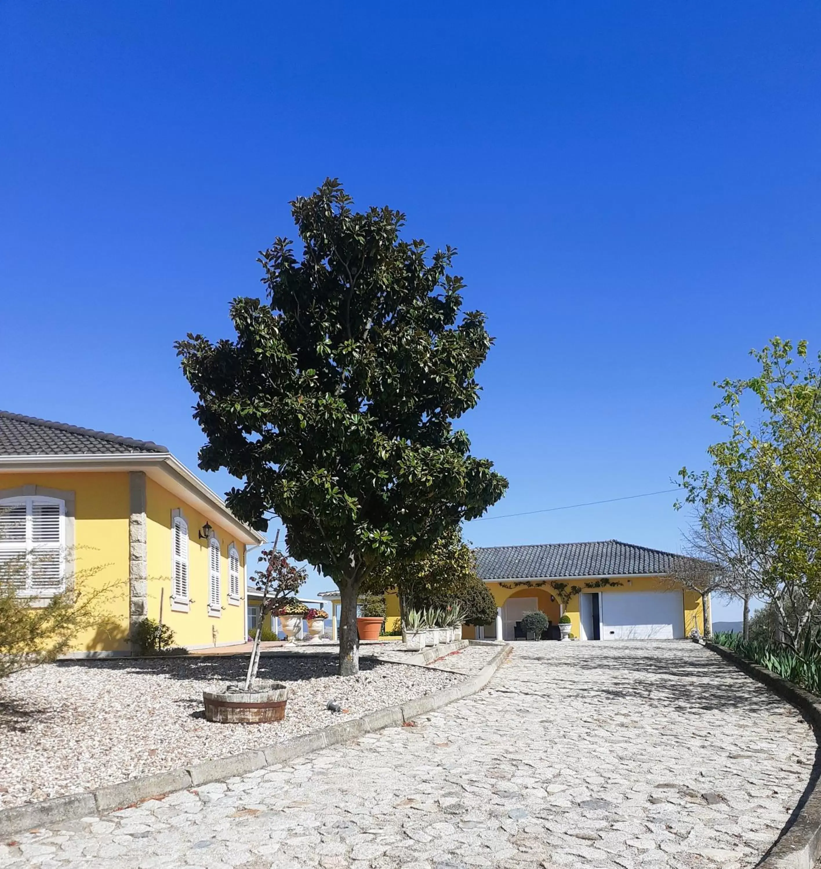 Garden view, Property Building in A Flor da Rosa