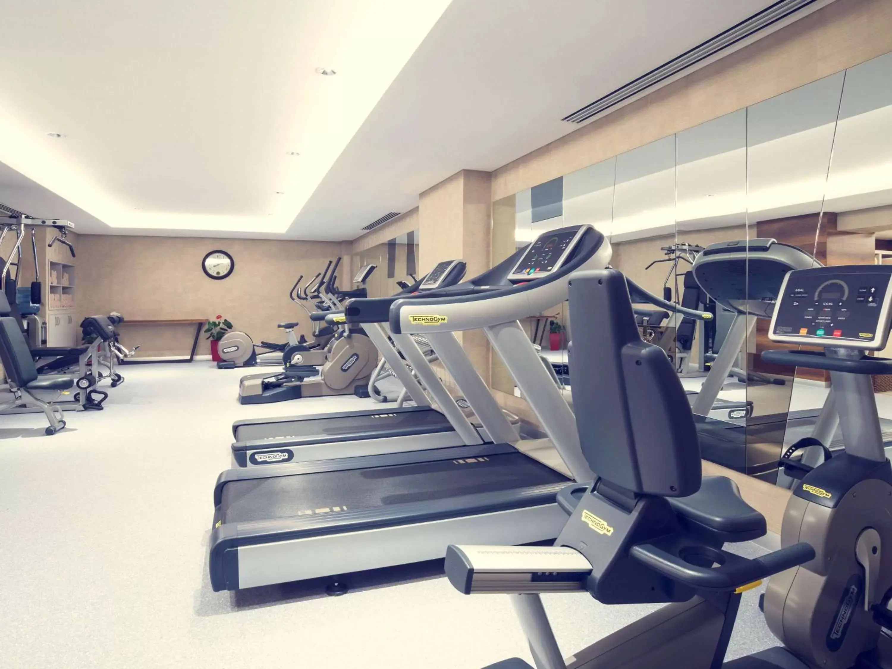 Fitness centre/facilities, Fitness Center/Facilities in Mercure Tbilisi Old Town