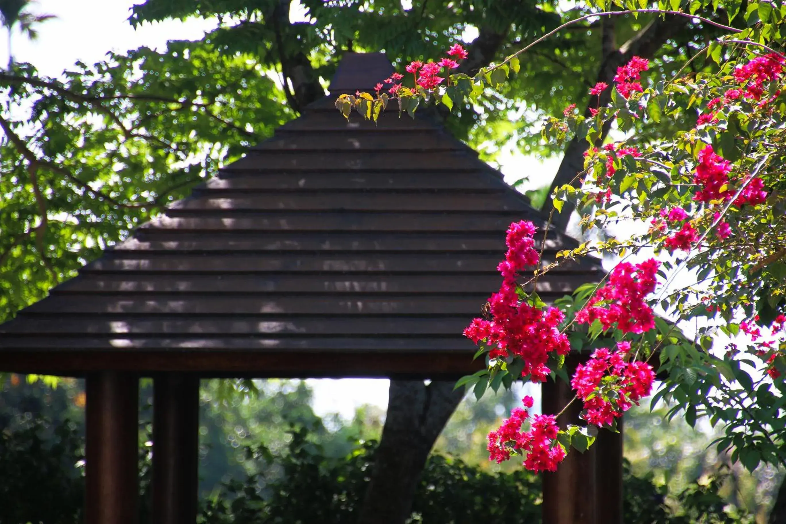 Patio in Dream Home B&B