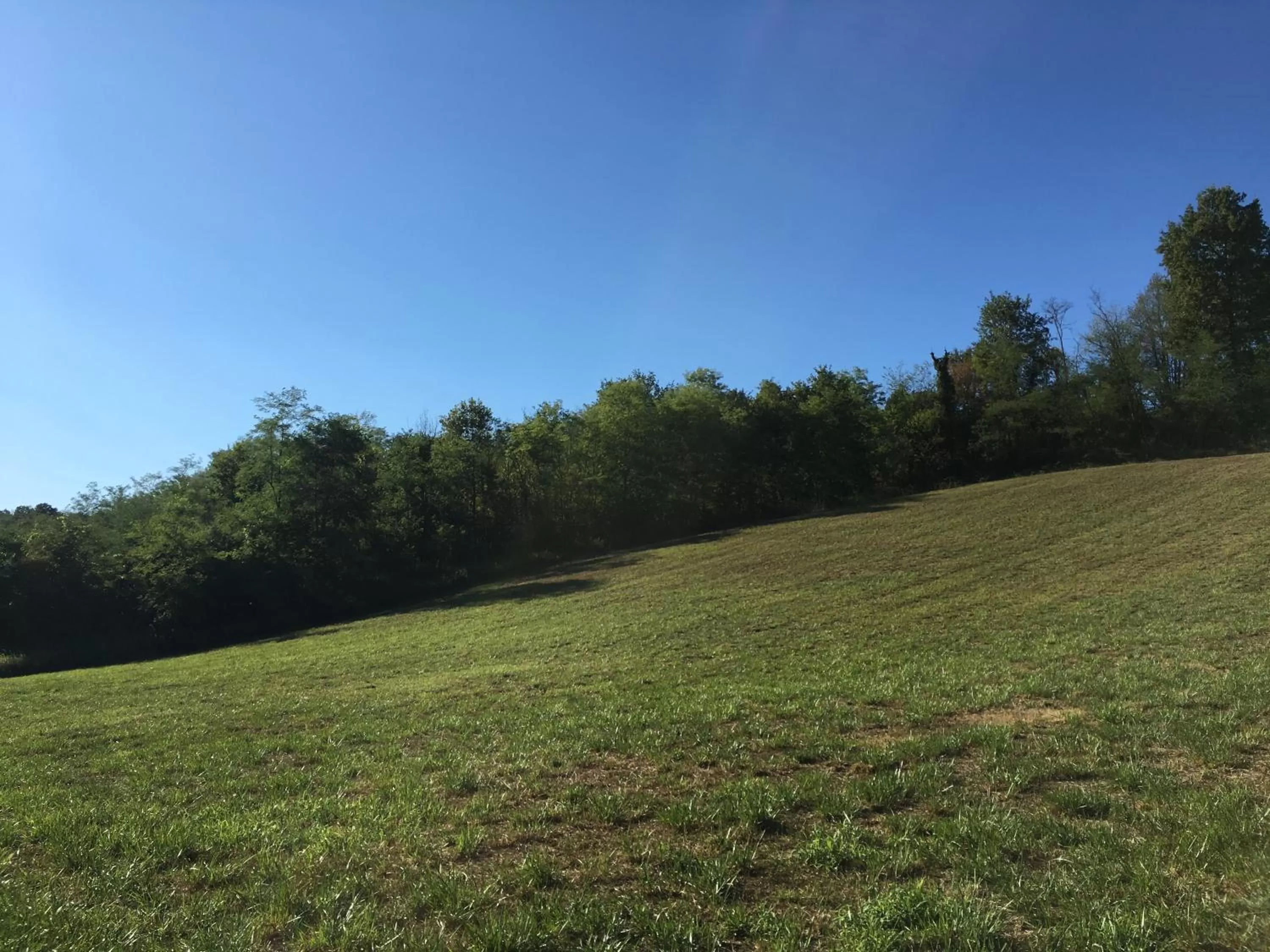 Garden in B&B La Semplice Nel Verde