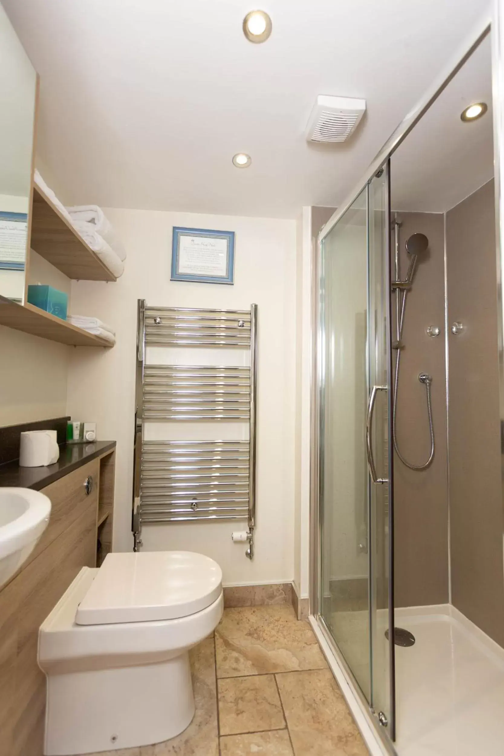 Shower, Bathroom in Queens Head Hotel