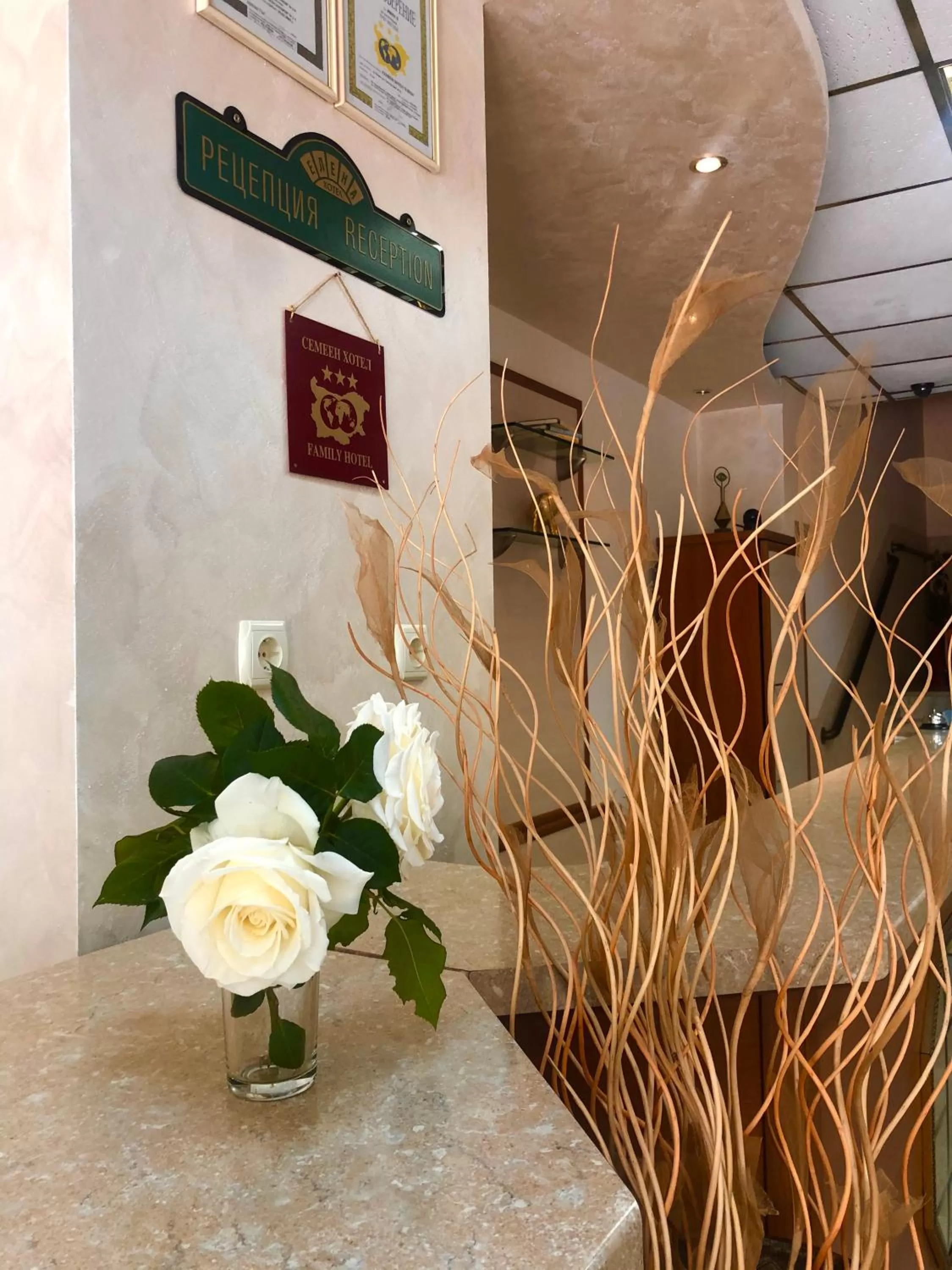 Lobby or reception in Elena Hotel