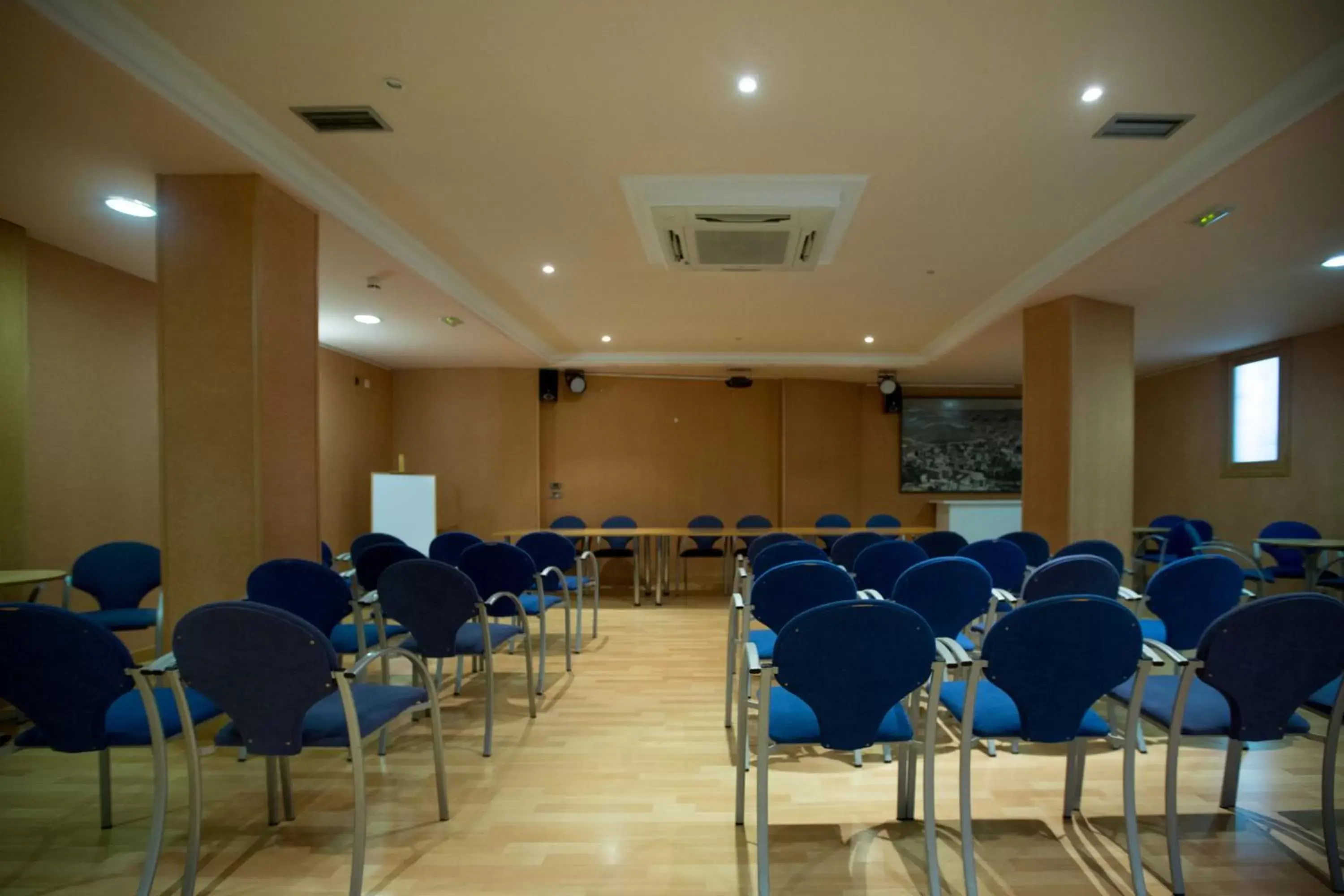 Business facilities in Hotel Villa de Marin