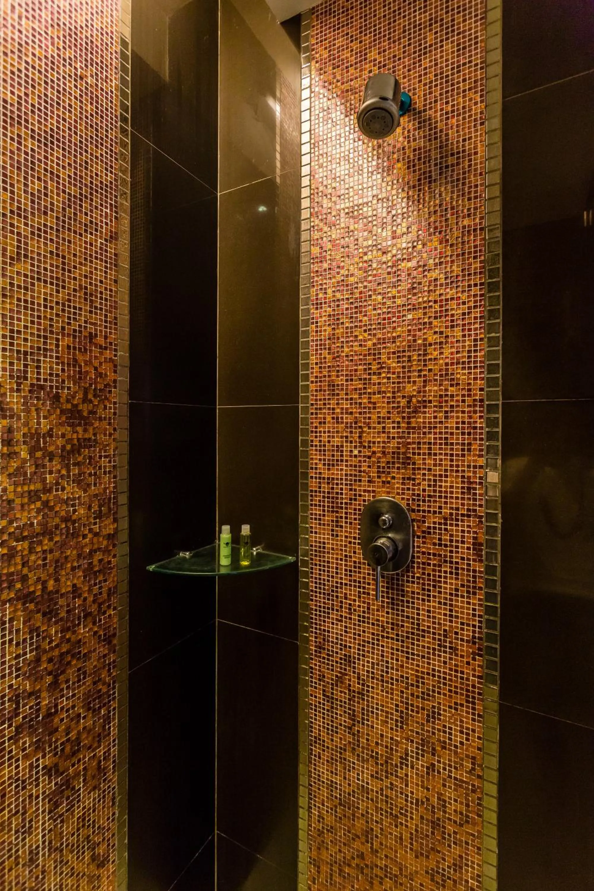 Shower in Nova Platinum Hotel