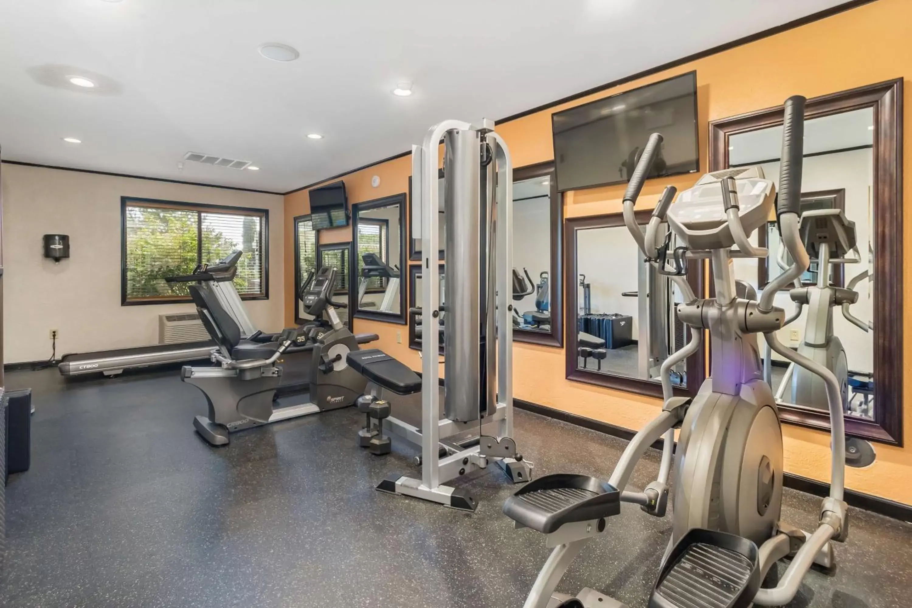 Fitness centre/facilities, Fitness Center/Facilities in Best Western Plus Holland Inn & Suites