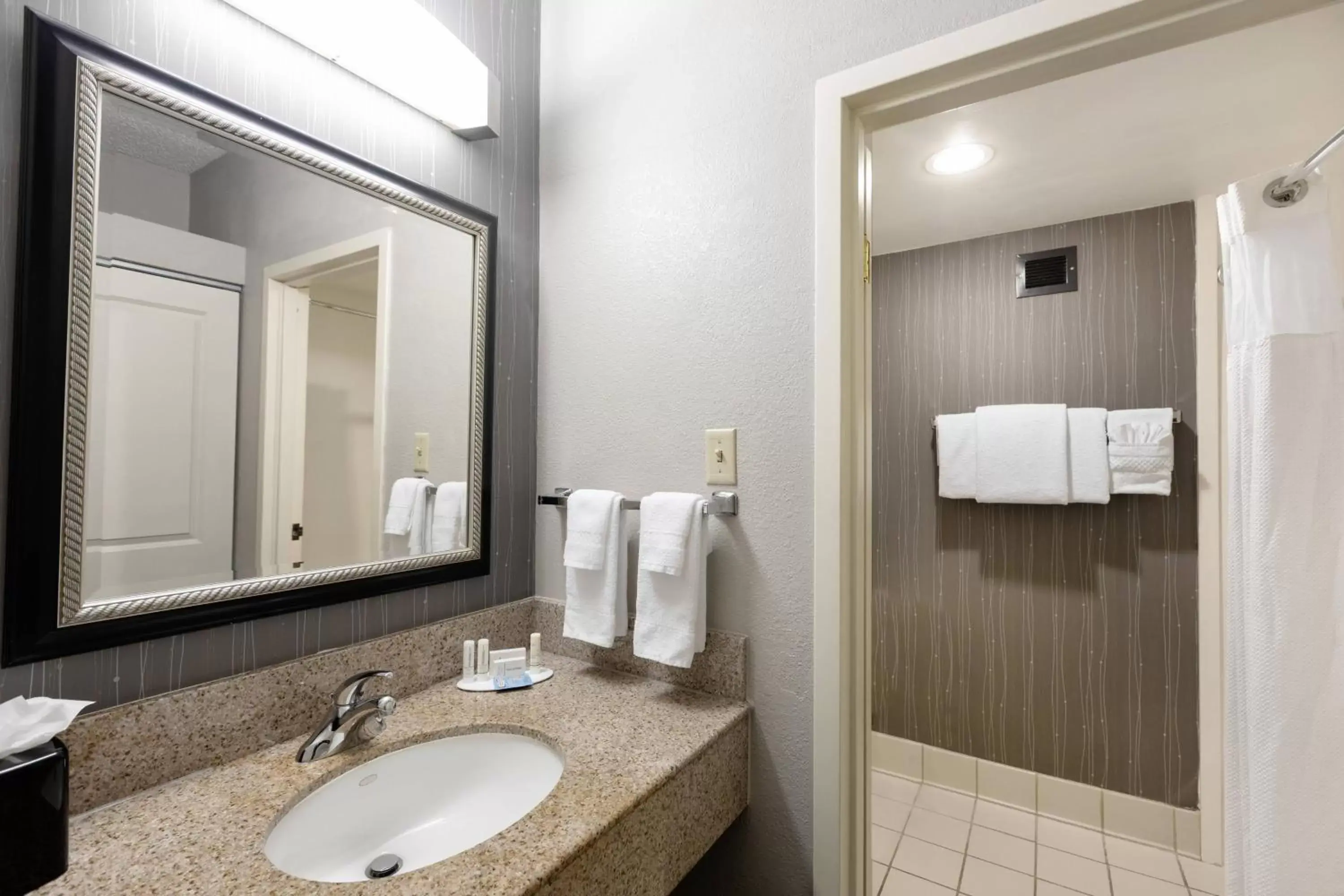 Bathroom in Courtyard by Marriott Dallas-Fort Worth/Bedford