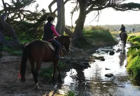 Horse-riding, Horseback Riding in Onyria Quinta da Marinha Hotel