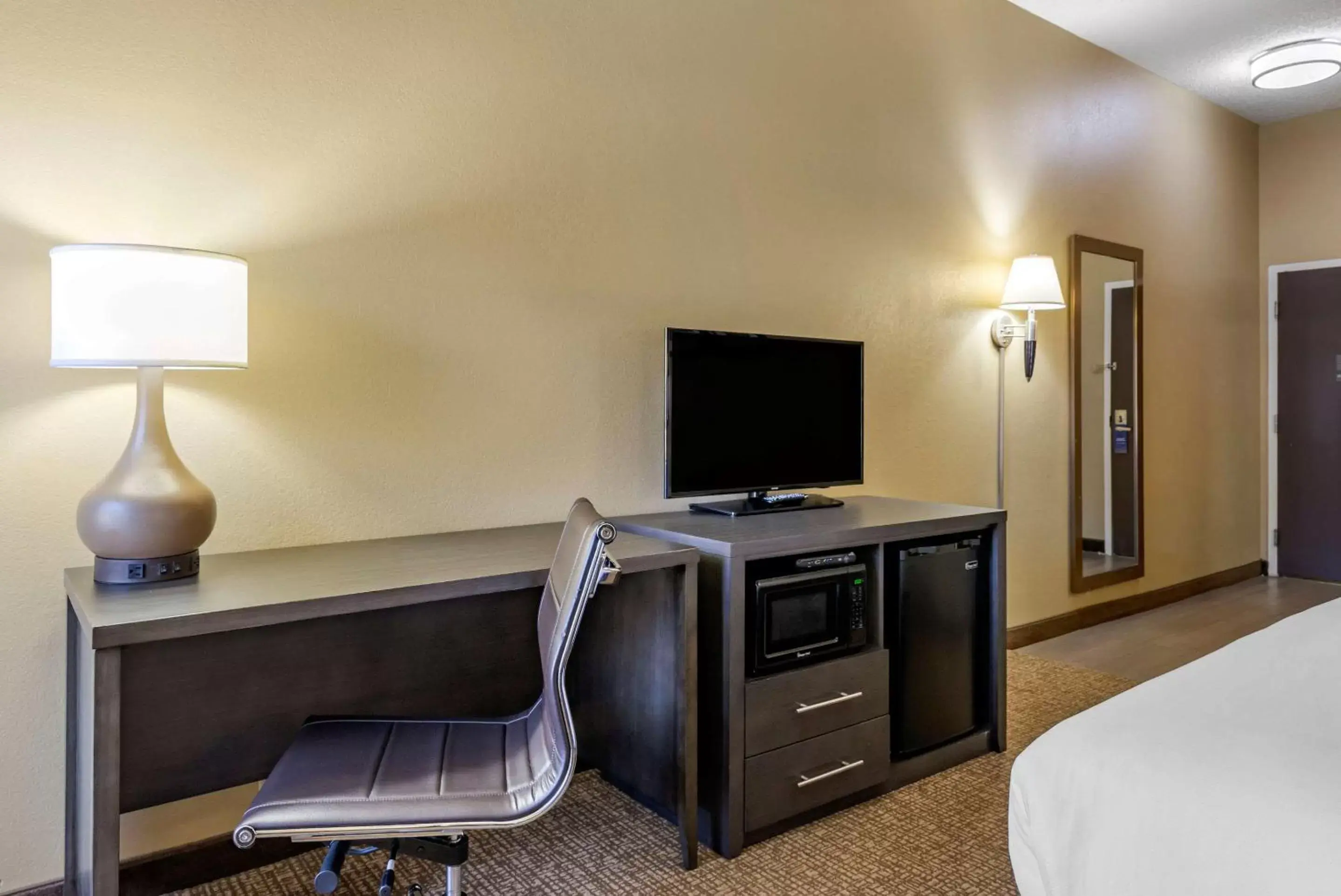 Photo of the whole room, TV/Entertainment Center in Comfort Inn Opelika - Auburn