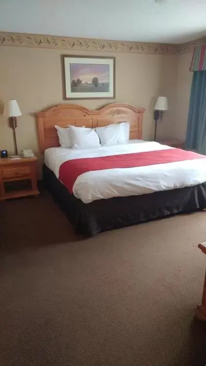 Bedroom, Bed in Country Inn & Suites by Radisson, Waterloo, IA
