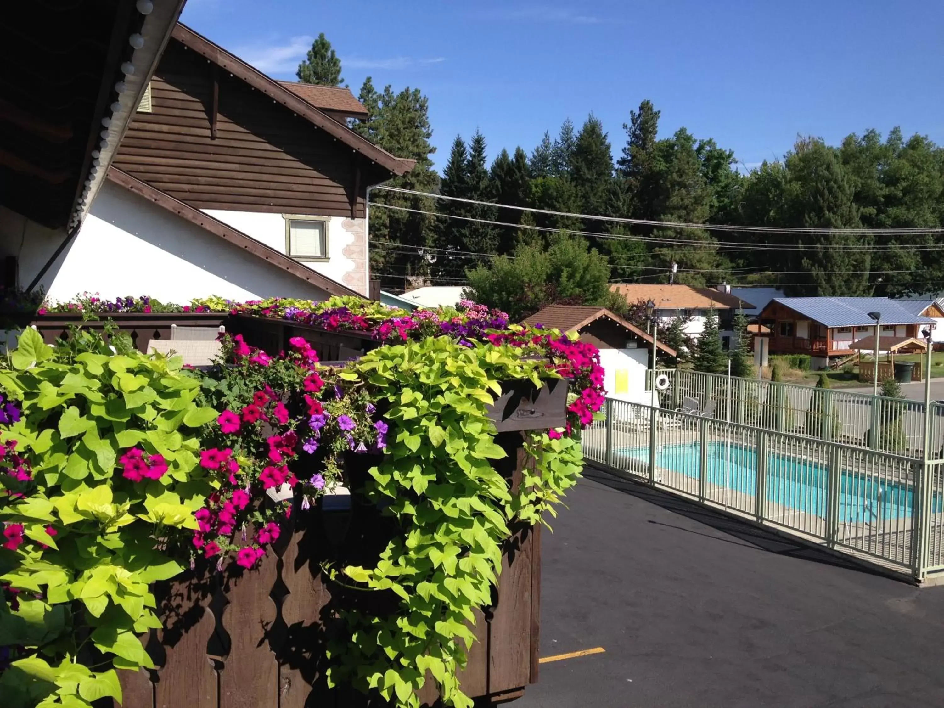 Decorative detail, Pool View in Linderhof Inn